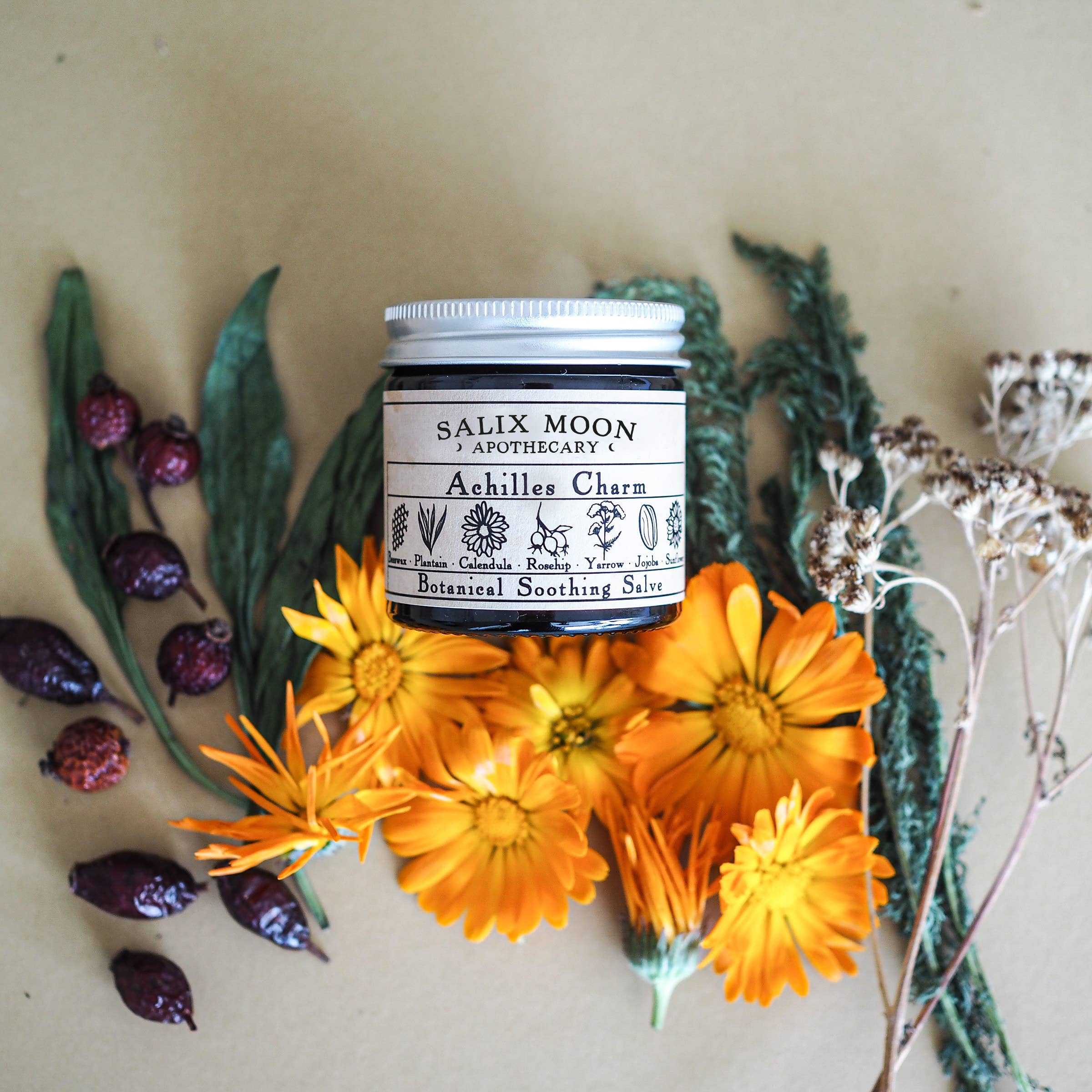 Botanical Healing Salve