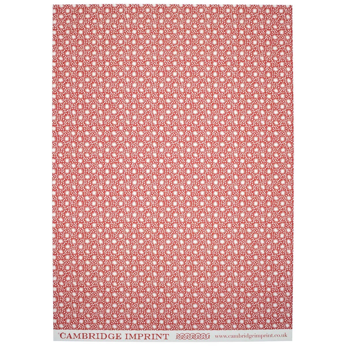 Patterned Paper Animalcules Coral Sheets (Set of 3)