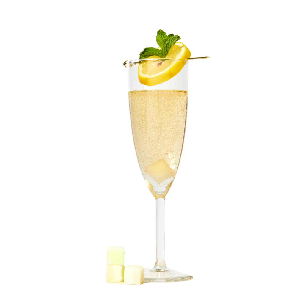 Lemon Mixology Mini Cube