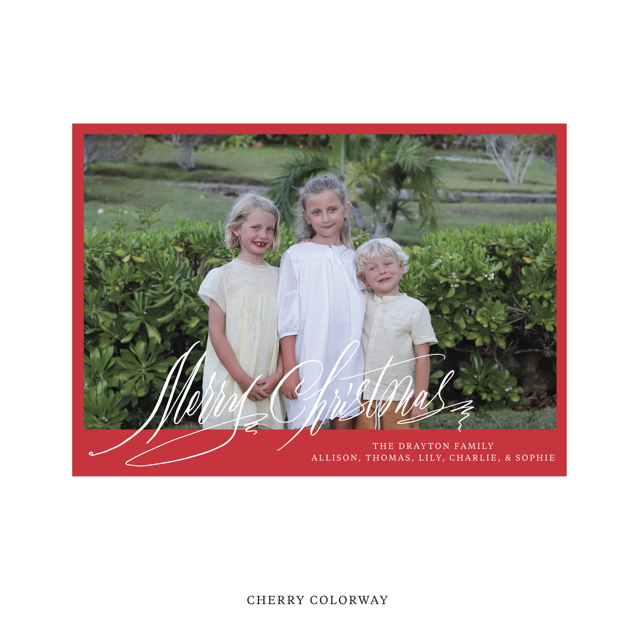 Celebrate the season with the Aldridge Merry Christmas Holiday Card by Stovall Collection. Featuring original hand-lettered artwork, this luxury personalized photo mount holiday card is available in 22 thoughtfully curated flat printing colorways.