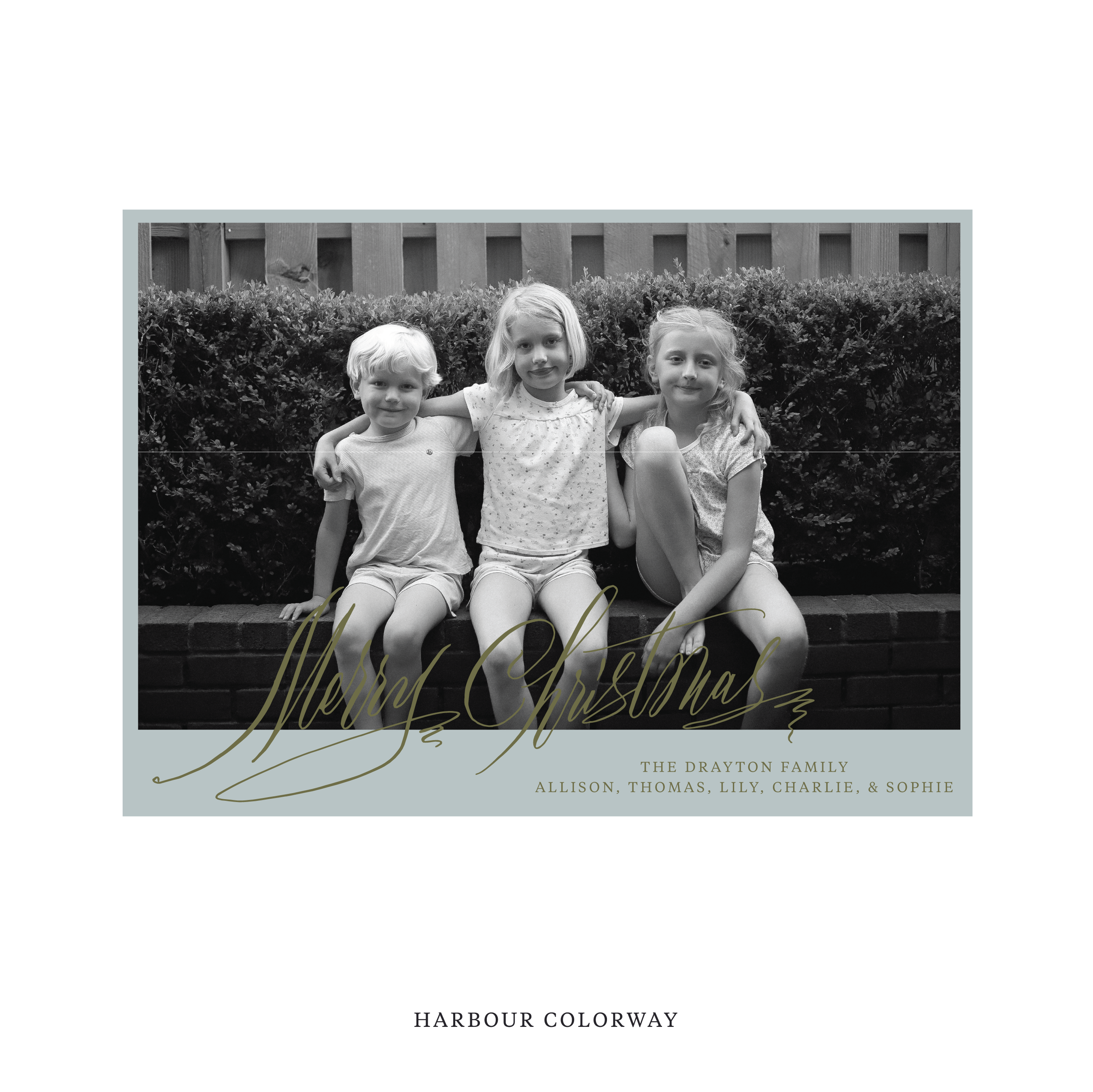 Aldridge Digital Photo Holiday Card, Large