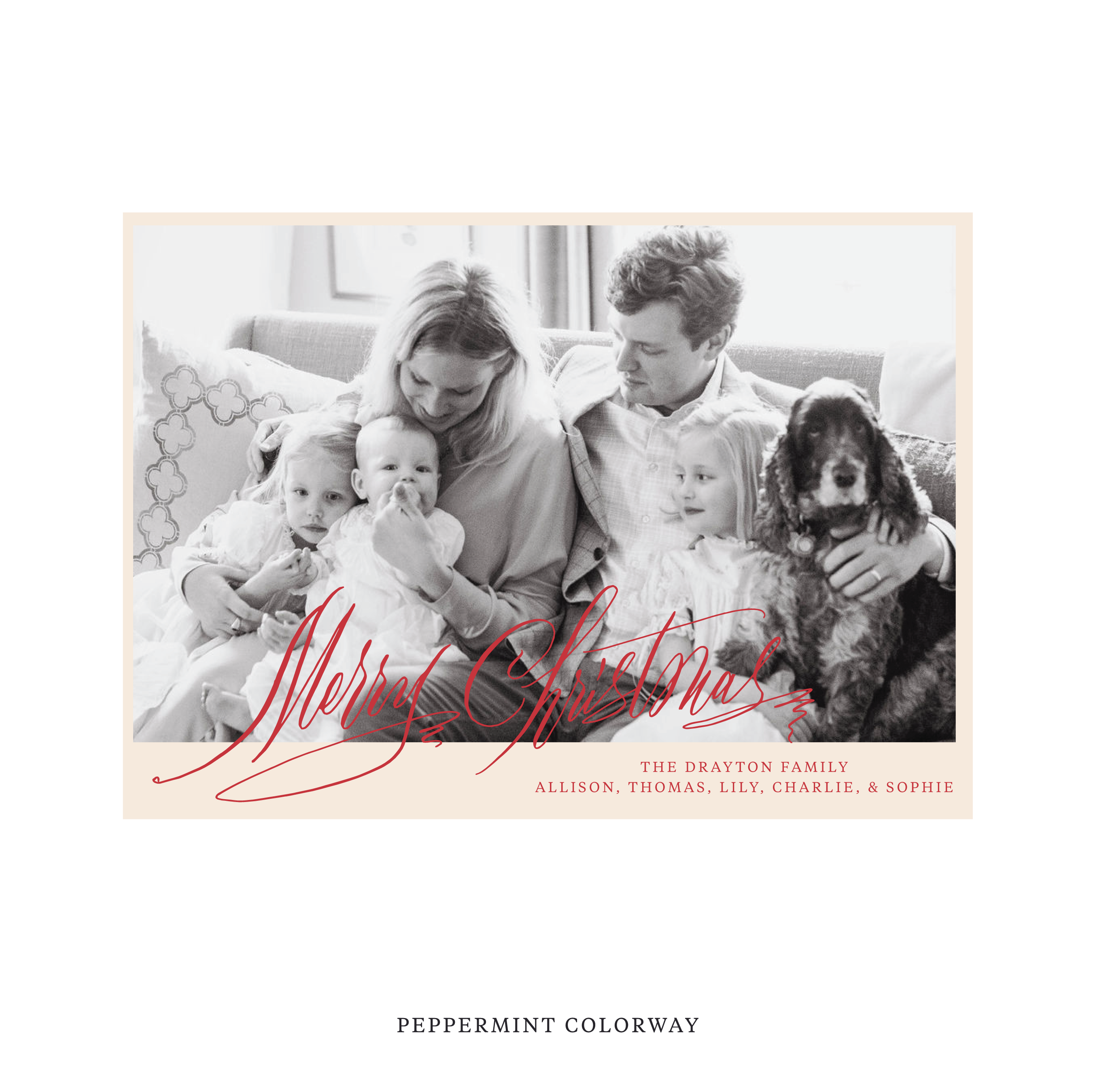 Celebrate the season with the Aldridge Merry Christmas Holiday Card by Stovall Collection. Featuring original hand-lettered artwork, this luxury personalized photo mount holiday card is available in 22 thoughtfully curated flat printing colorways.