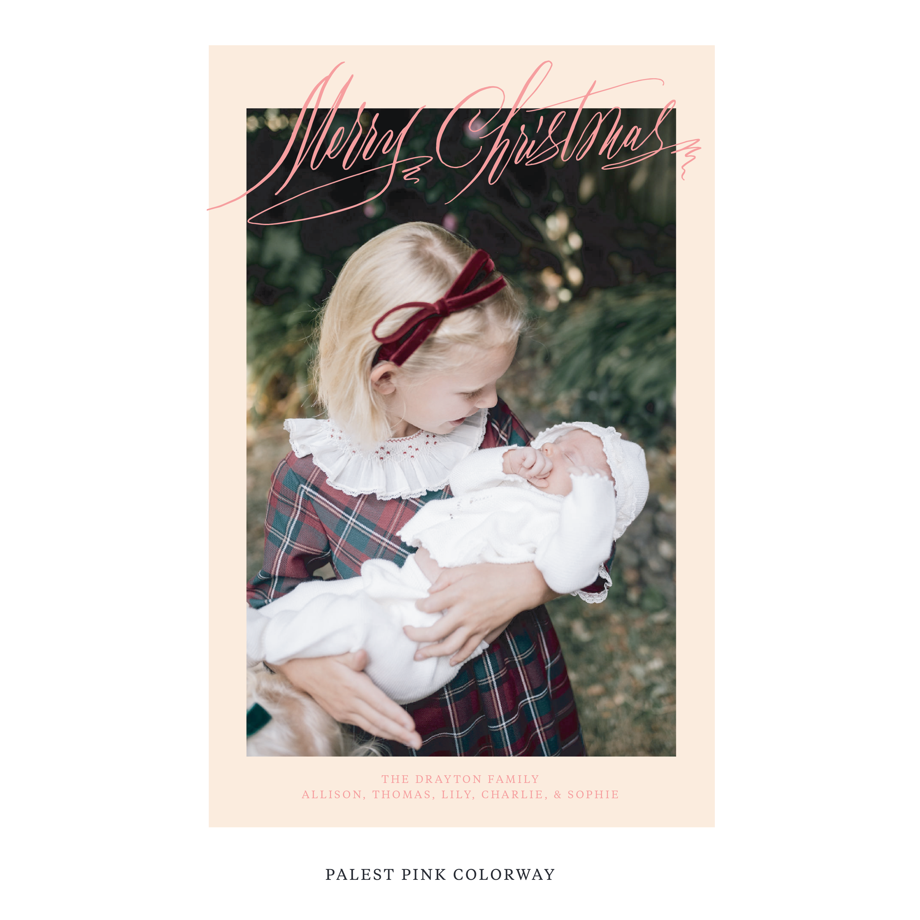 Aldridge Digital Photo Holiday Card, Extra Large