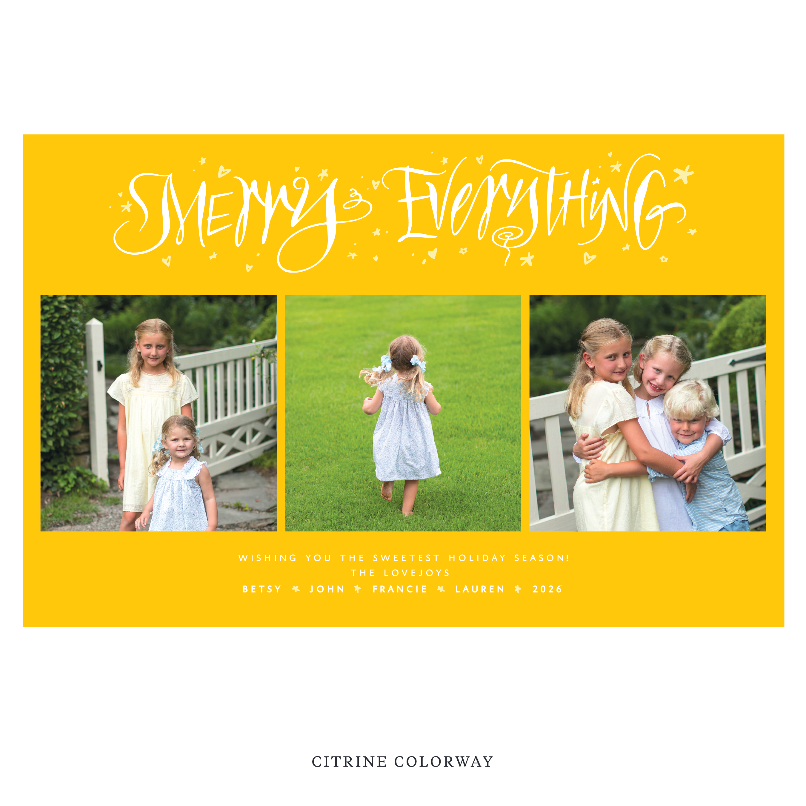 Ansley Digital Photo Holiday Card, Extra Large