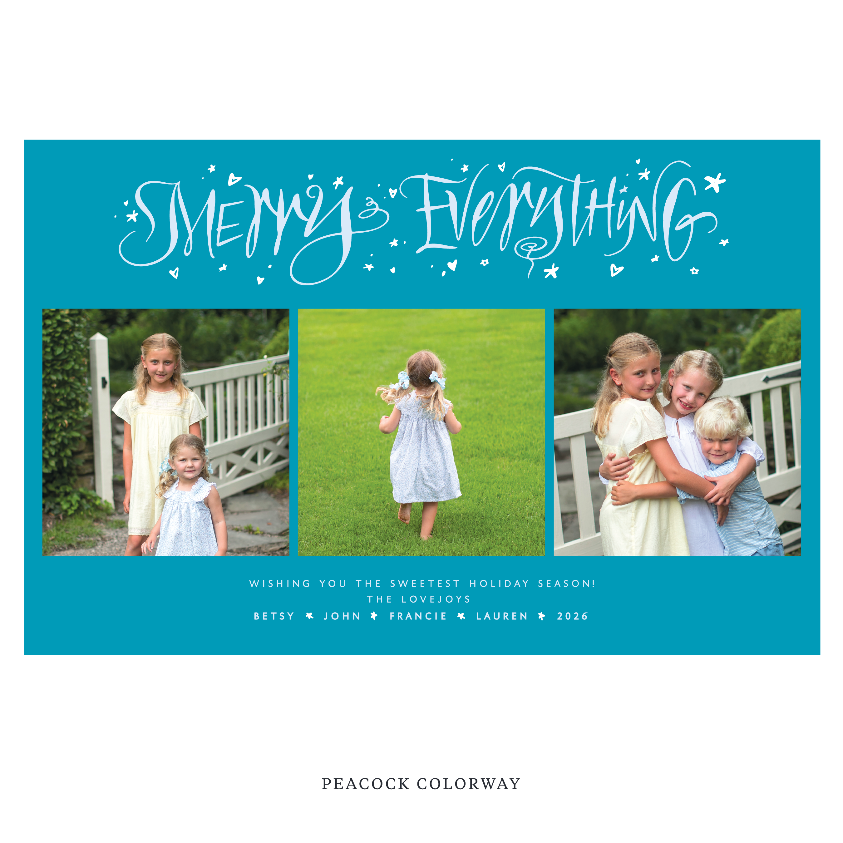 Ansley Digital Photo Holiday Card, Extra Large