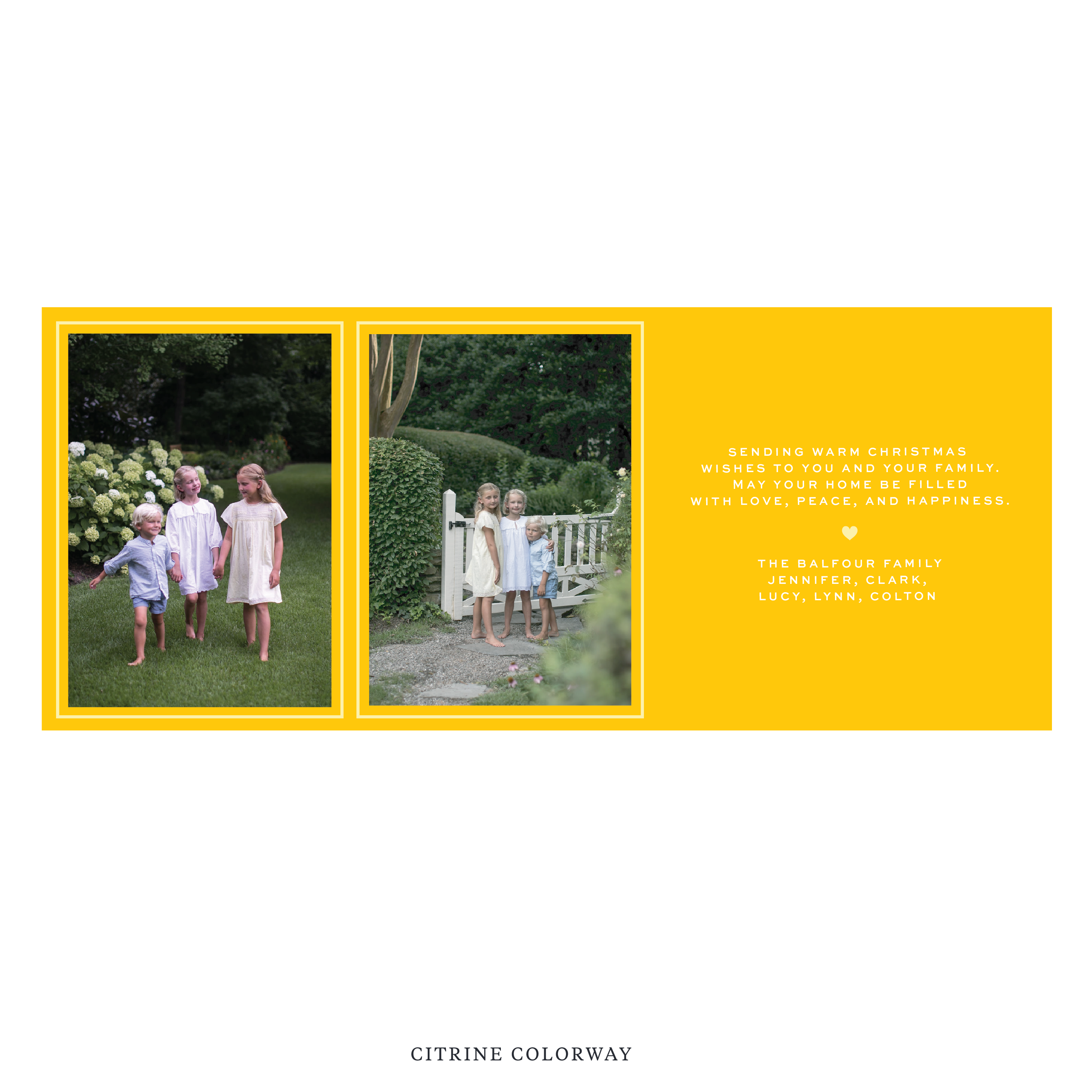 Balfour Digital Photo Holiday Card, Skinny