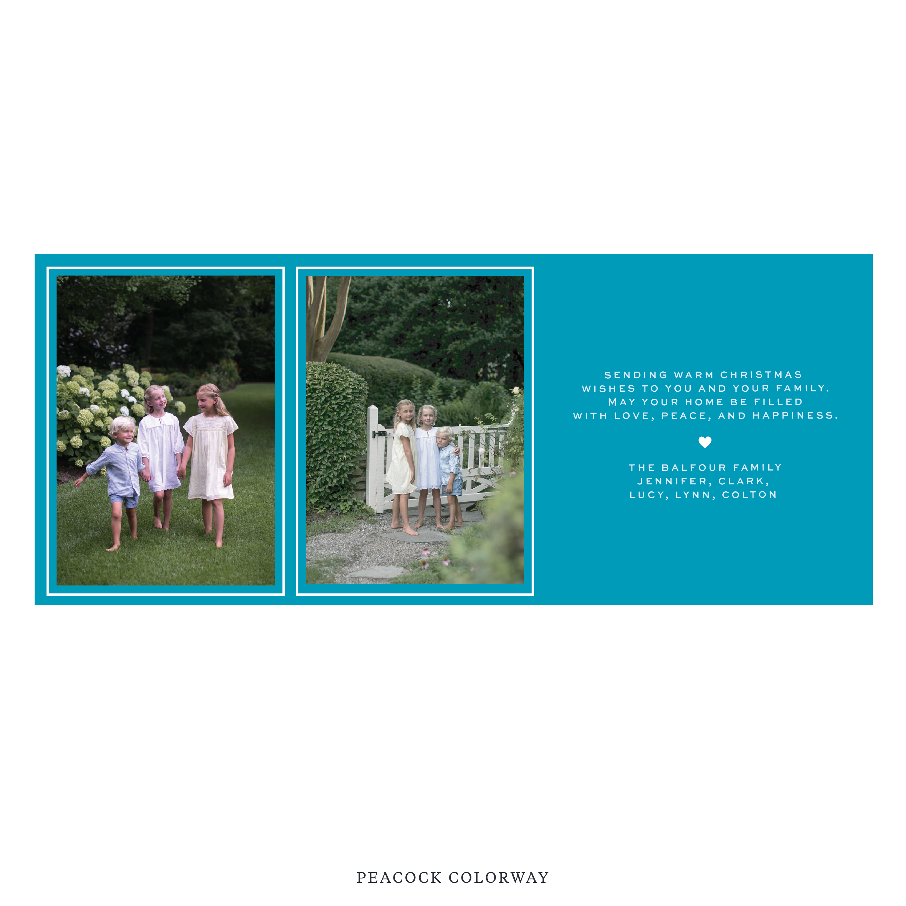 Balfour Digital Photo Holiday Card, Skinny