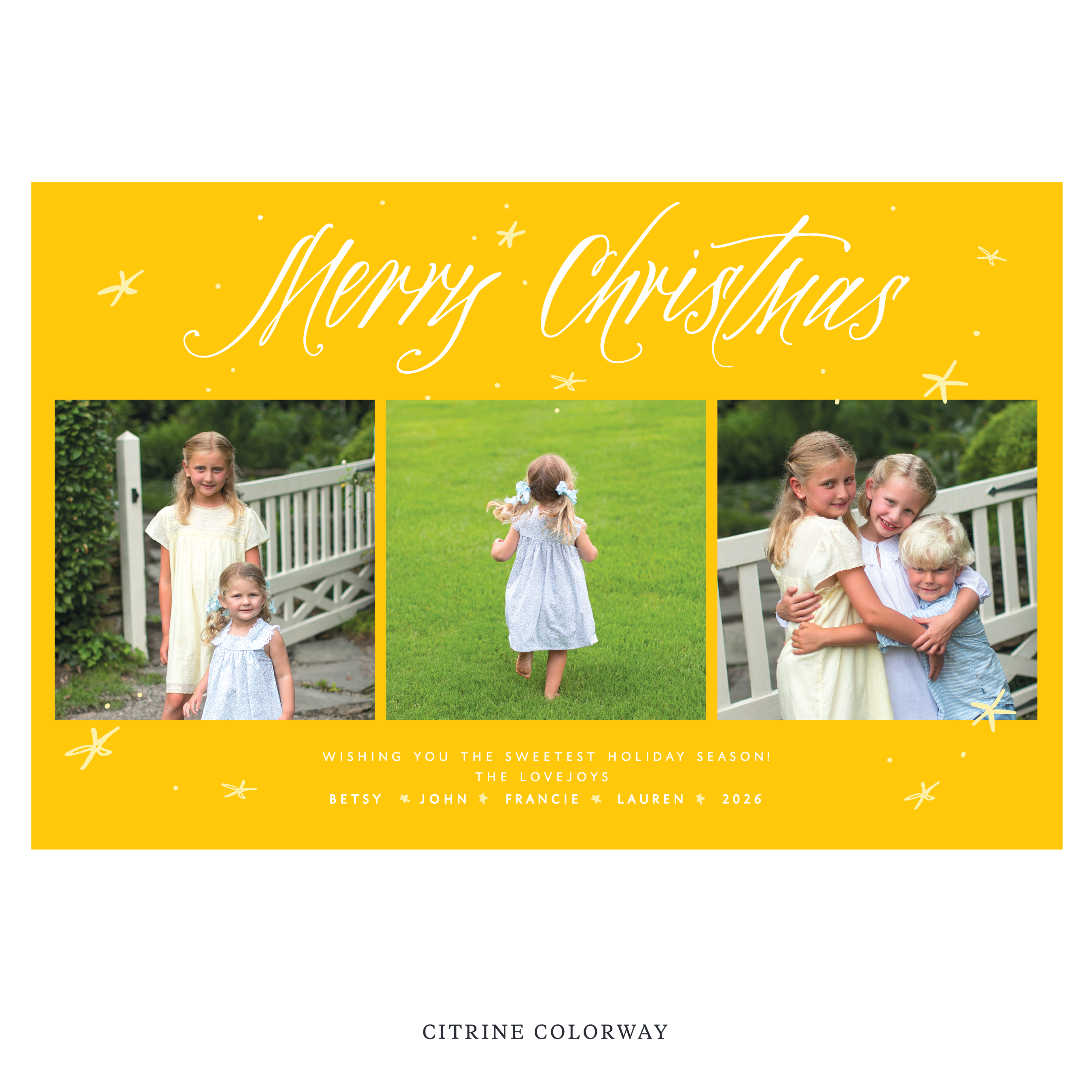Berkeley Digital Photo Holiday Card, Extra Large