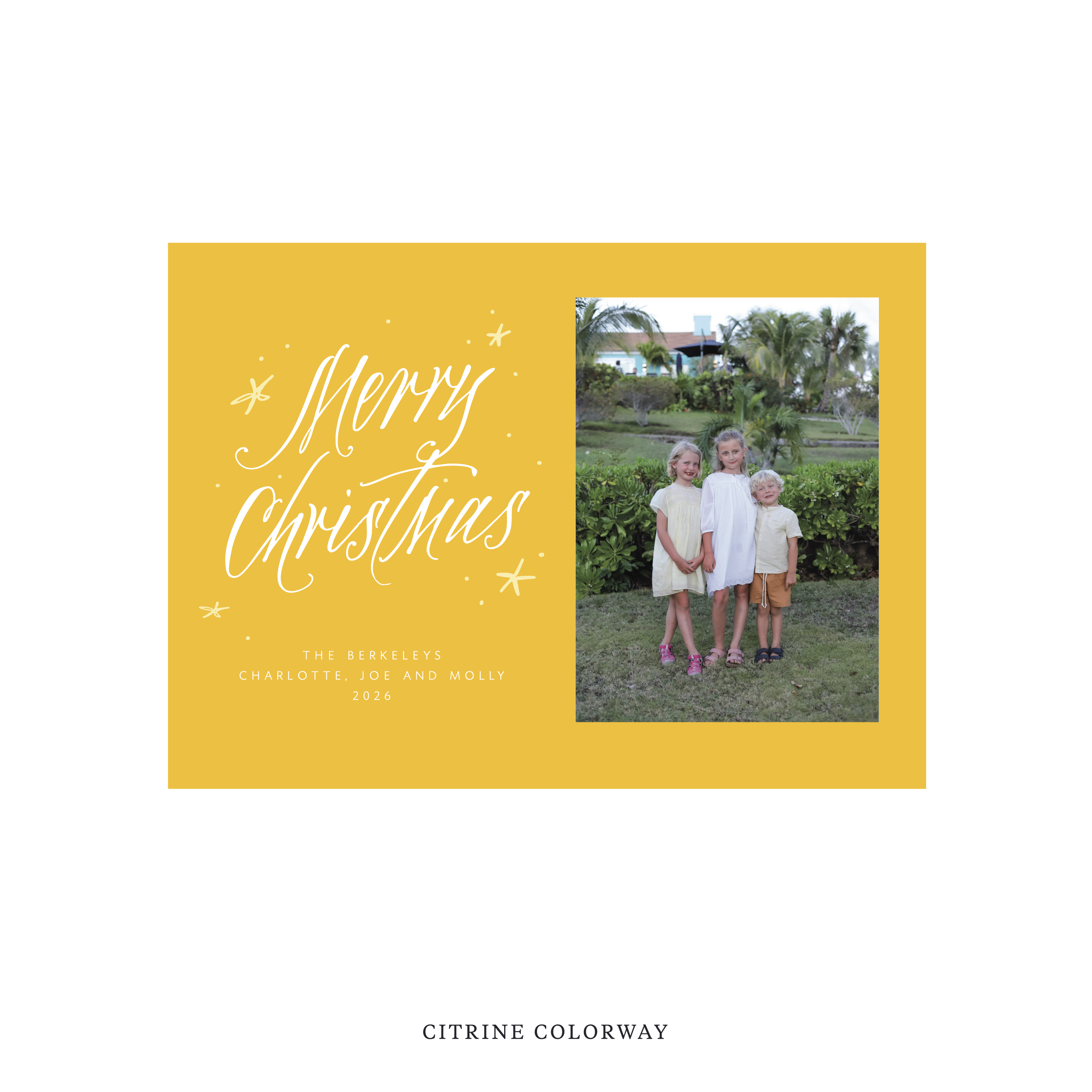 Berkeley Classic Flat Print Holiday Card, Medium