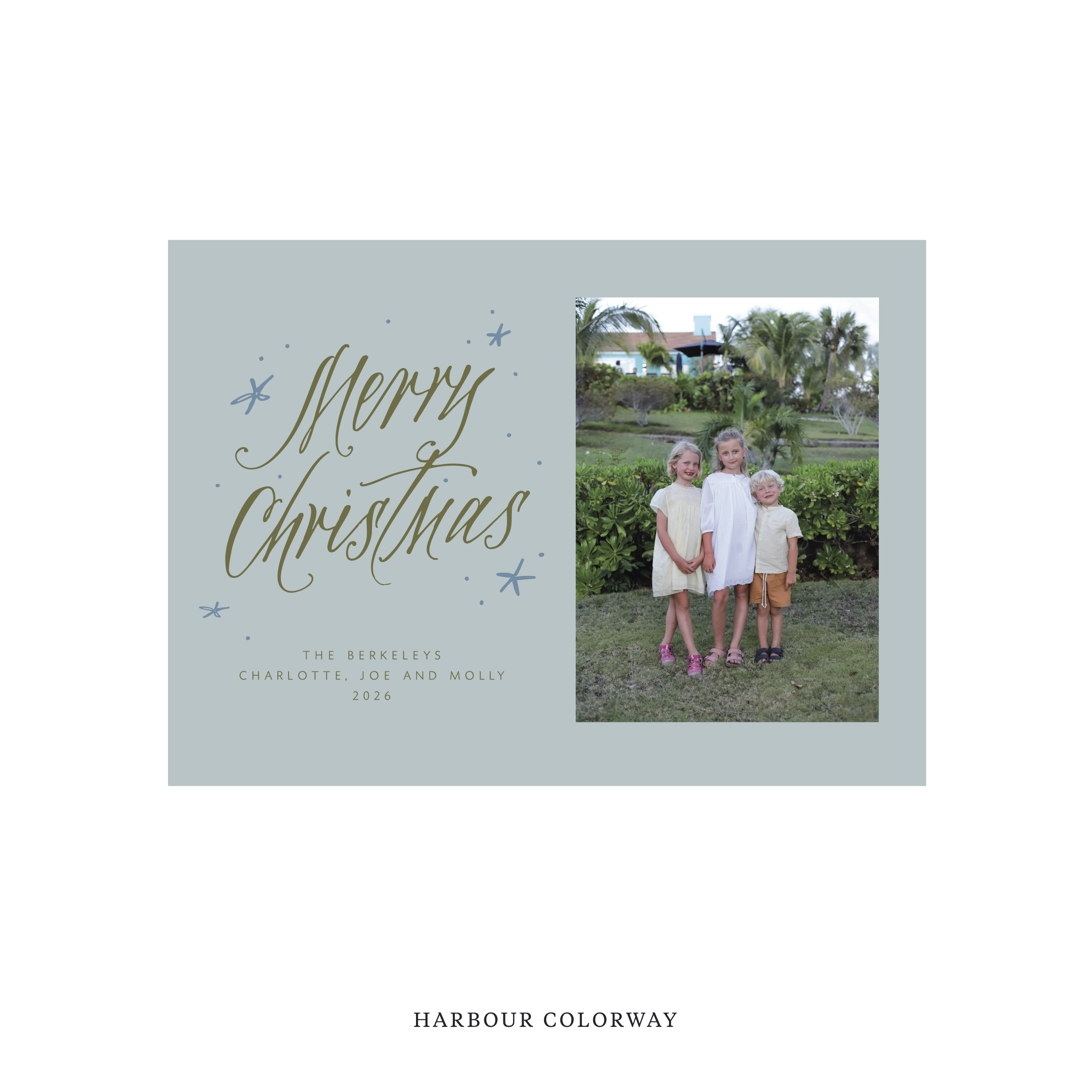 Berkeley Classic Flat Print Holiday Card, Medium