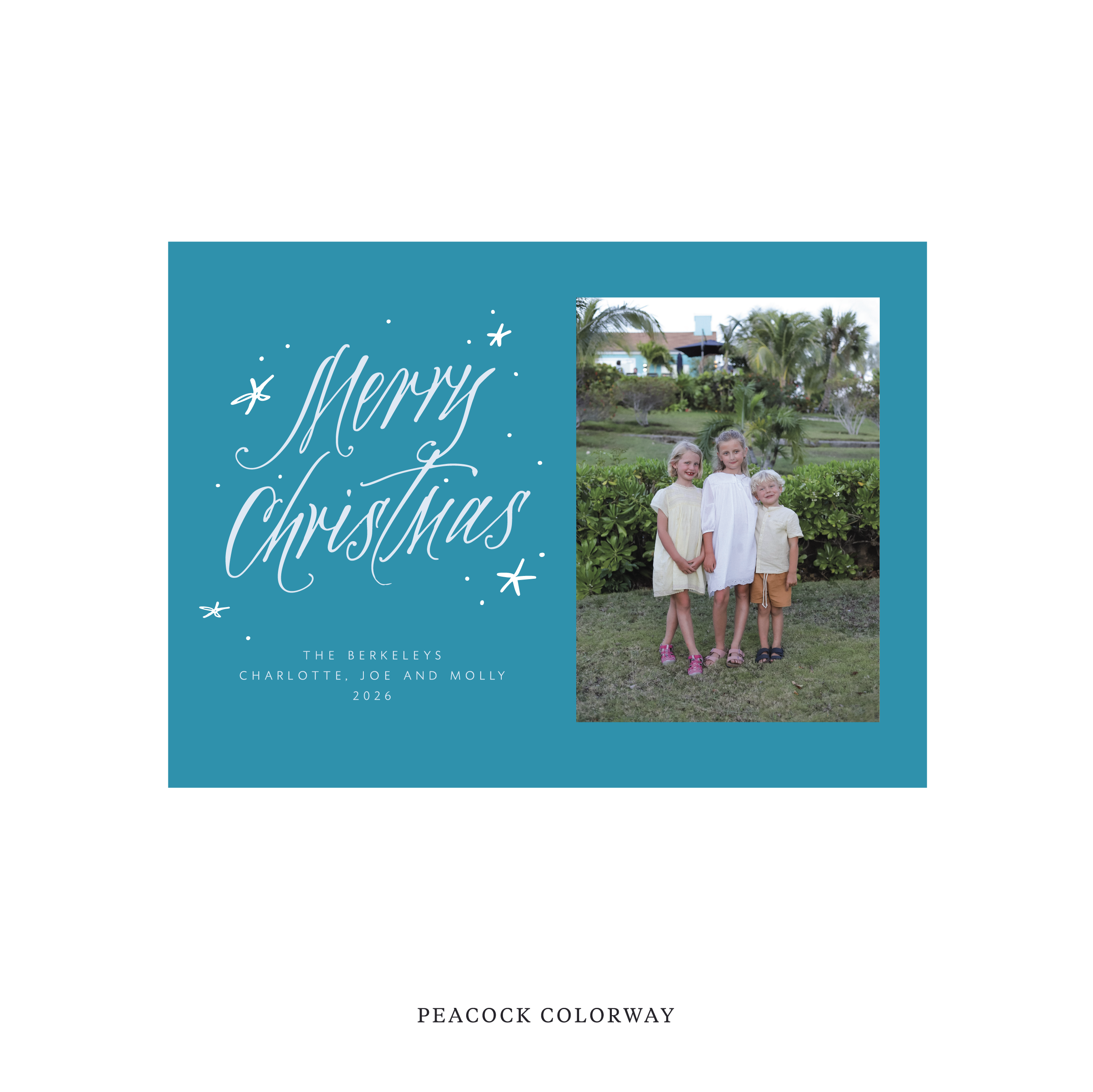 Berkeley Classic Flat Print Holiday Card, Medium