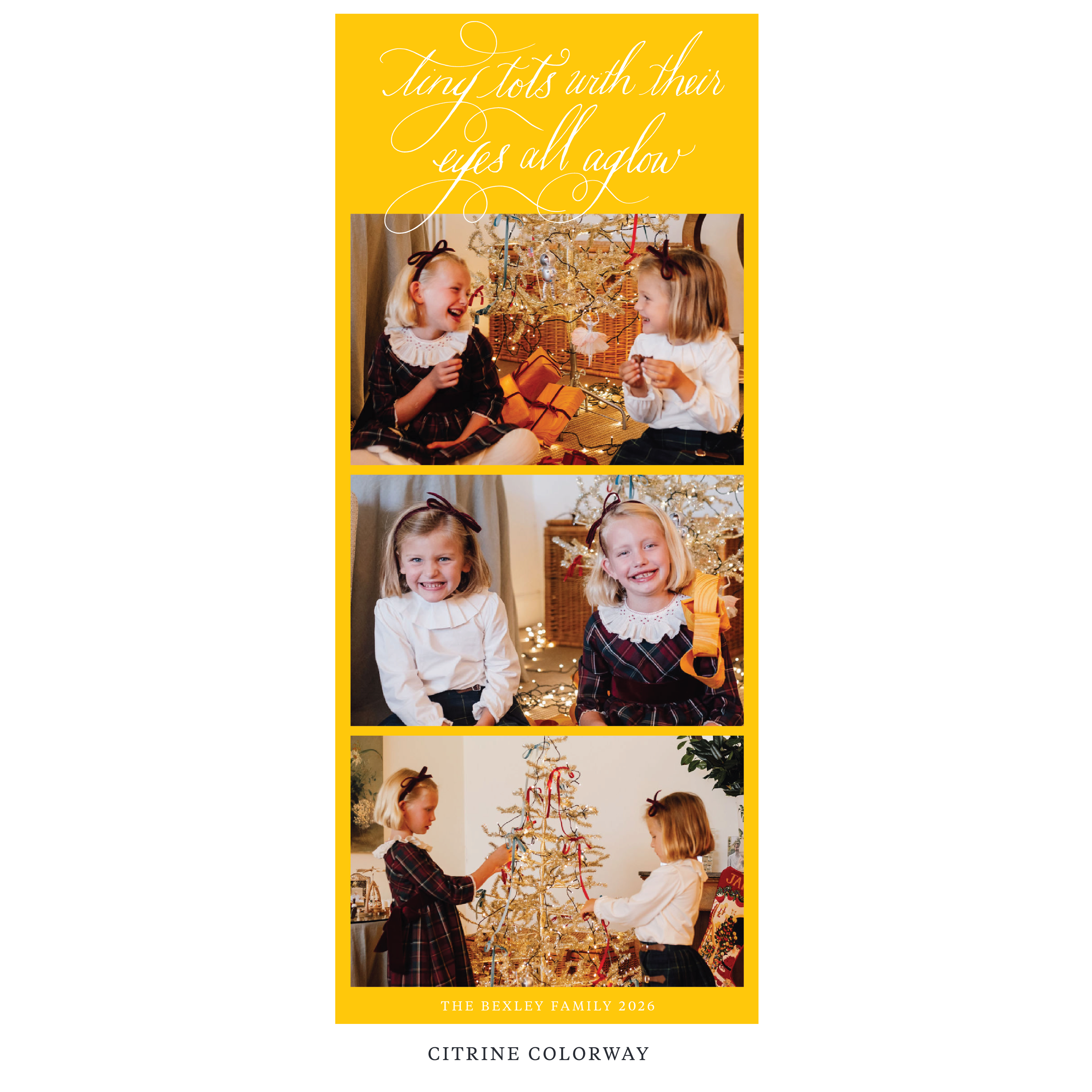 Bexley Digital Photo Holiday Card, Skinny