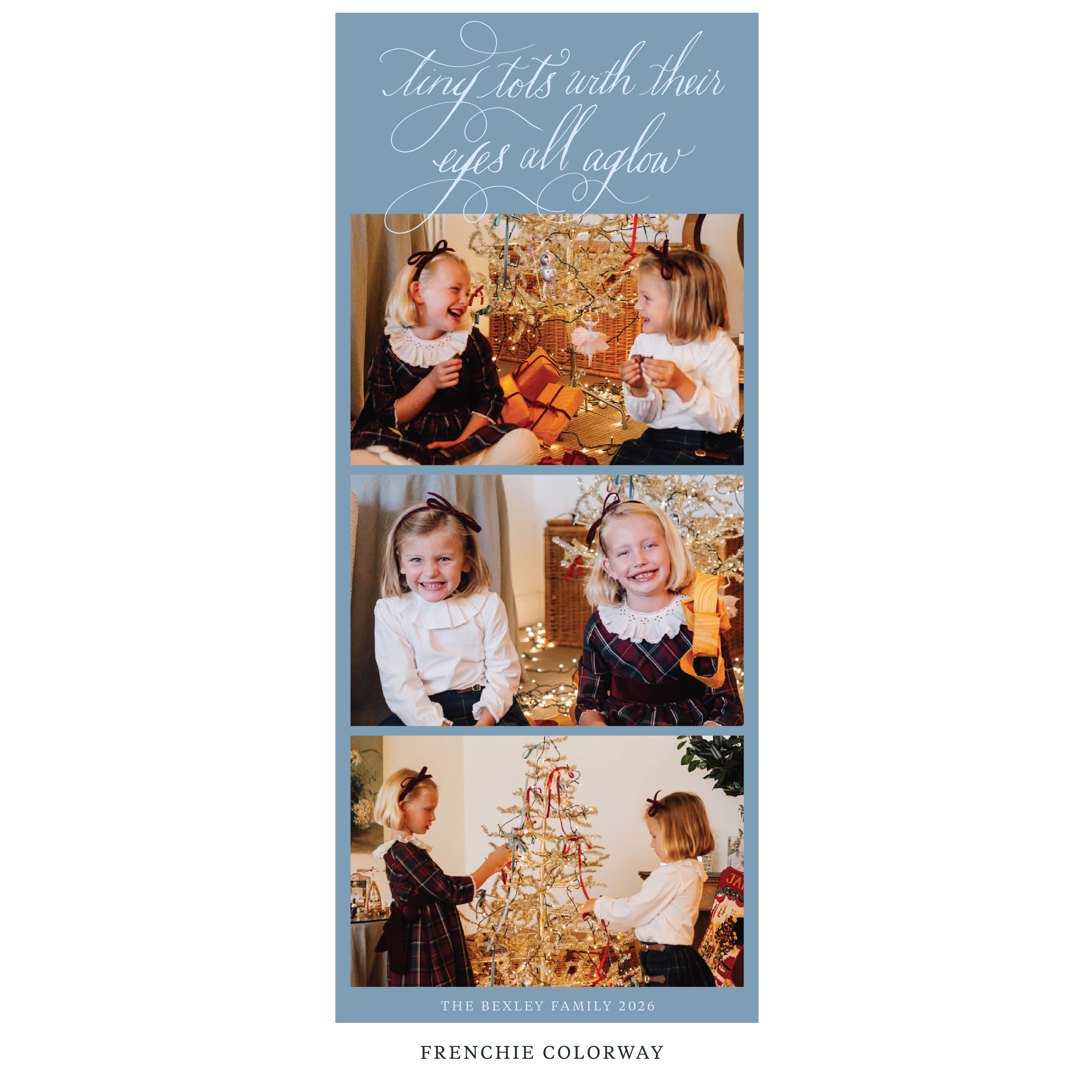 Bexley Digital Photo Holiday Card, Skinny