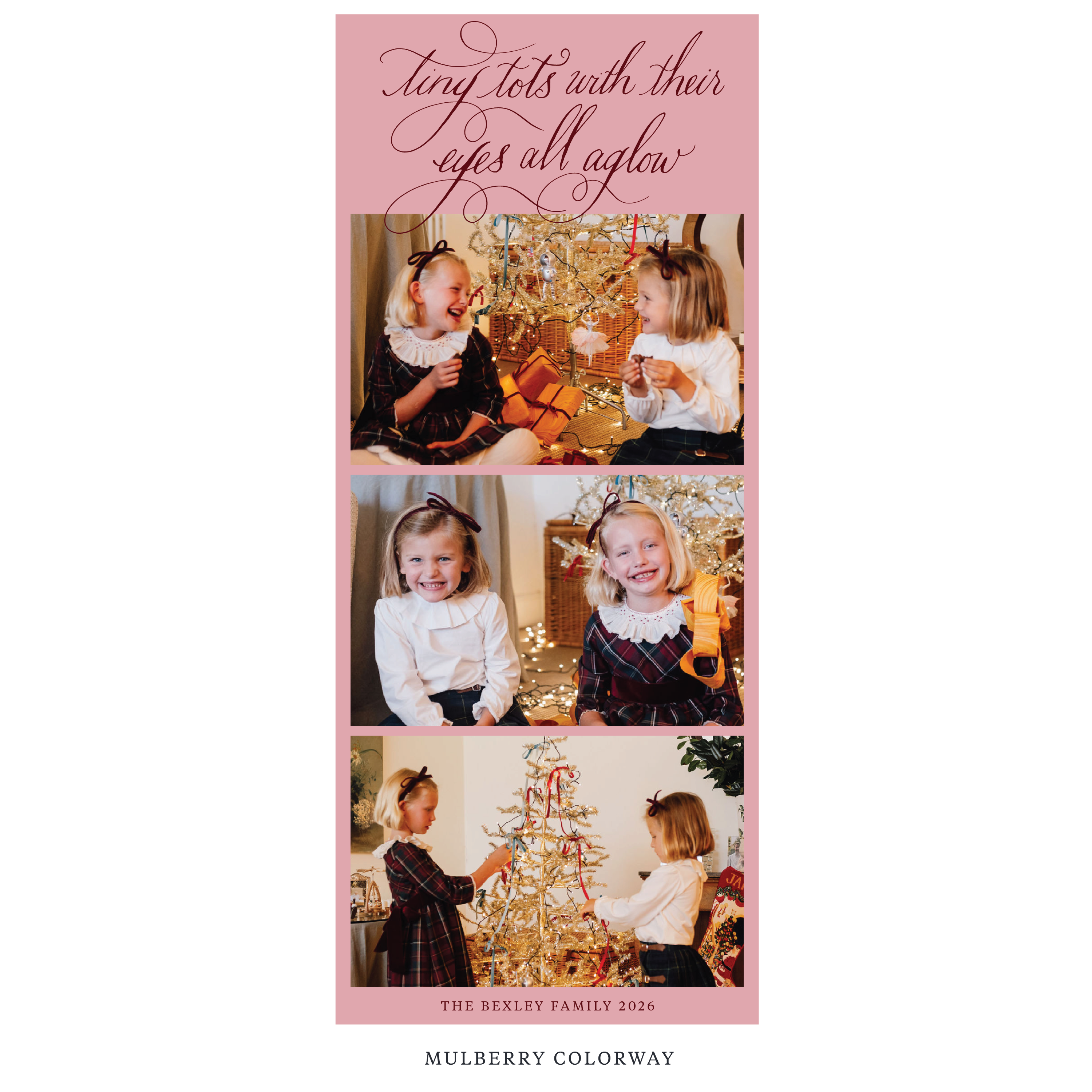 Bexley Digital Photo Holiday Card, Skinny