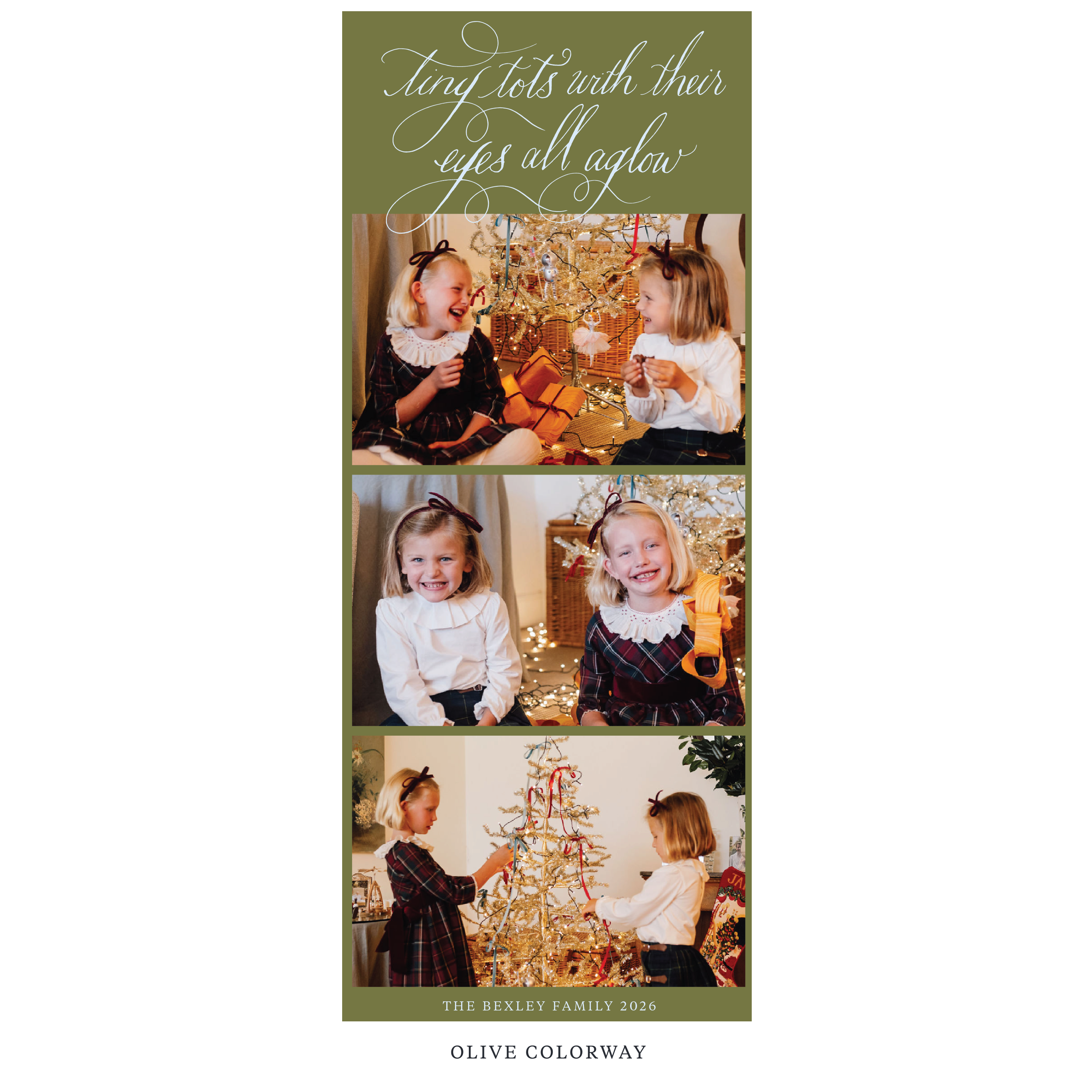 Bexley Digital Photo Holiday Card, Skinny