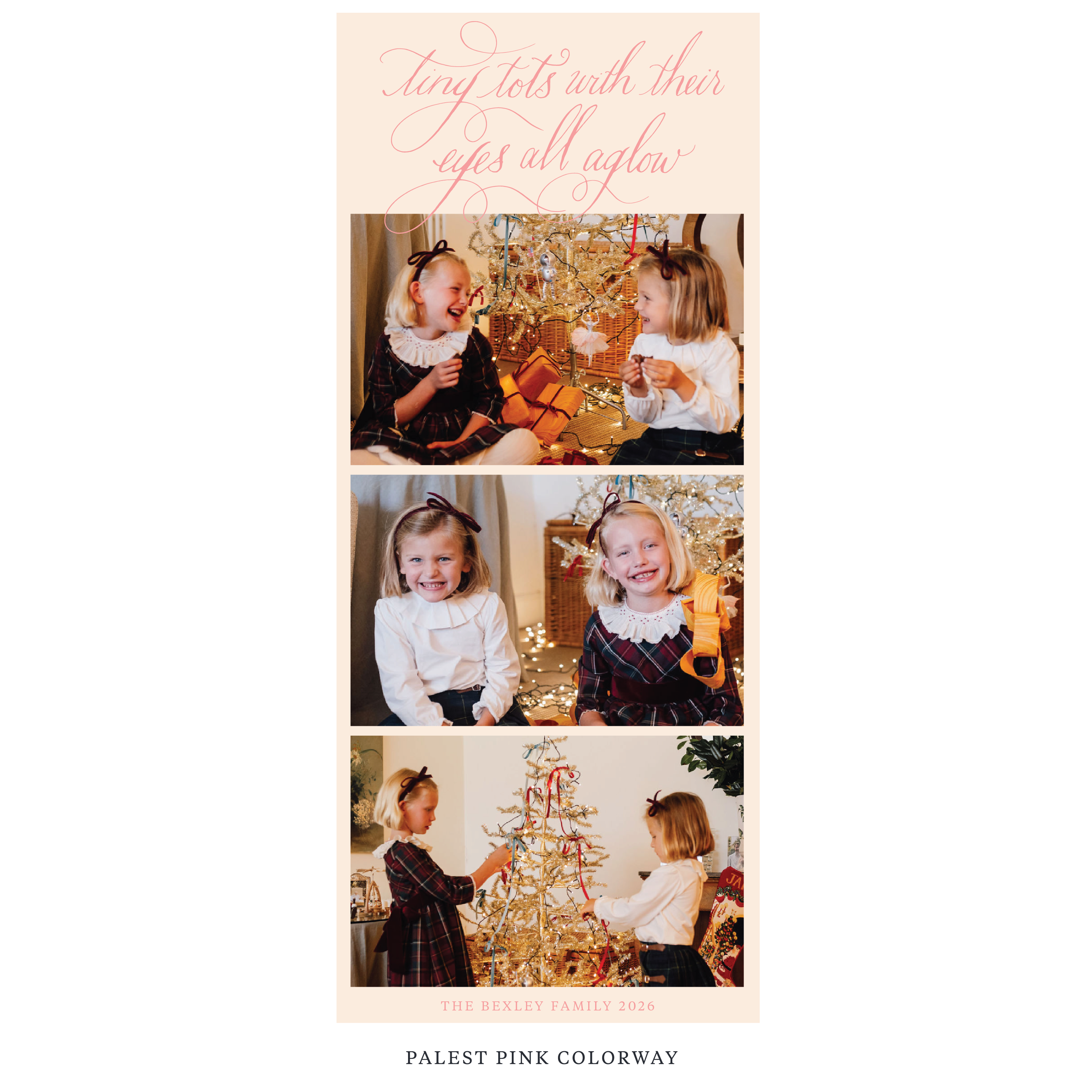 Bexley Digital Photo Holiday Card, Skinny
