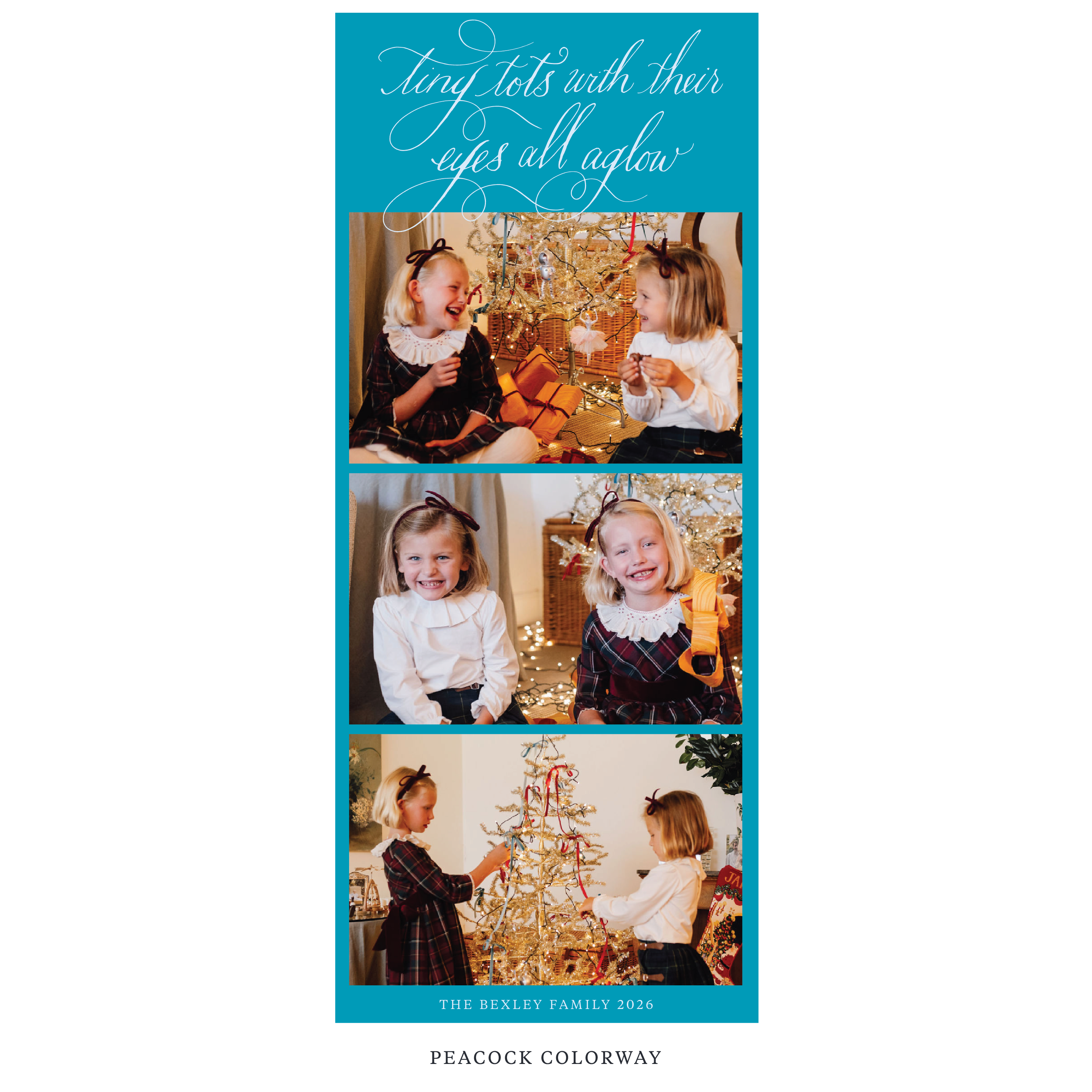 Bexley Digital Photo Holiday Card, Skinny