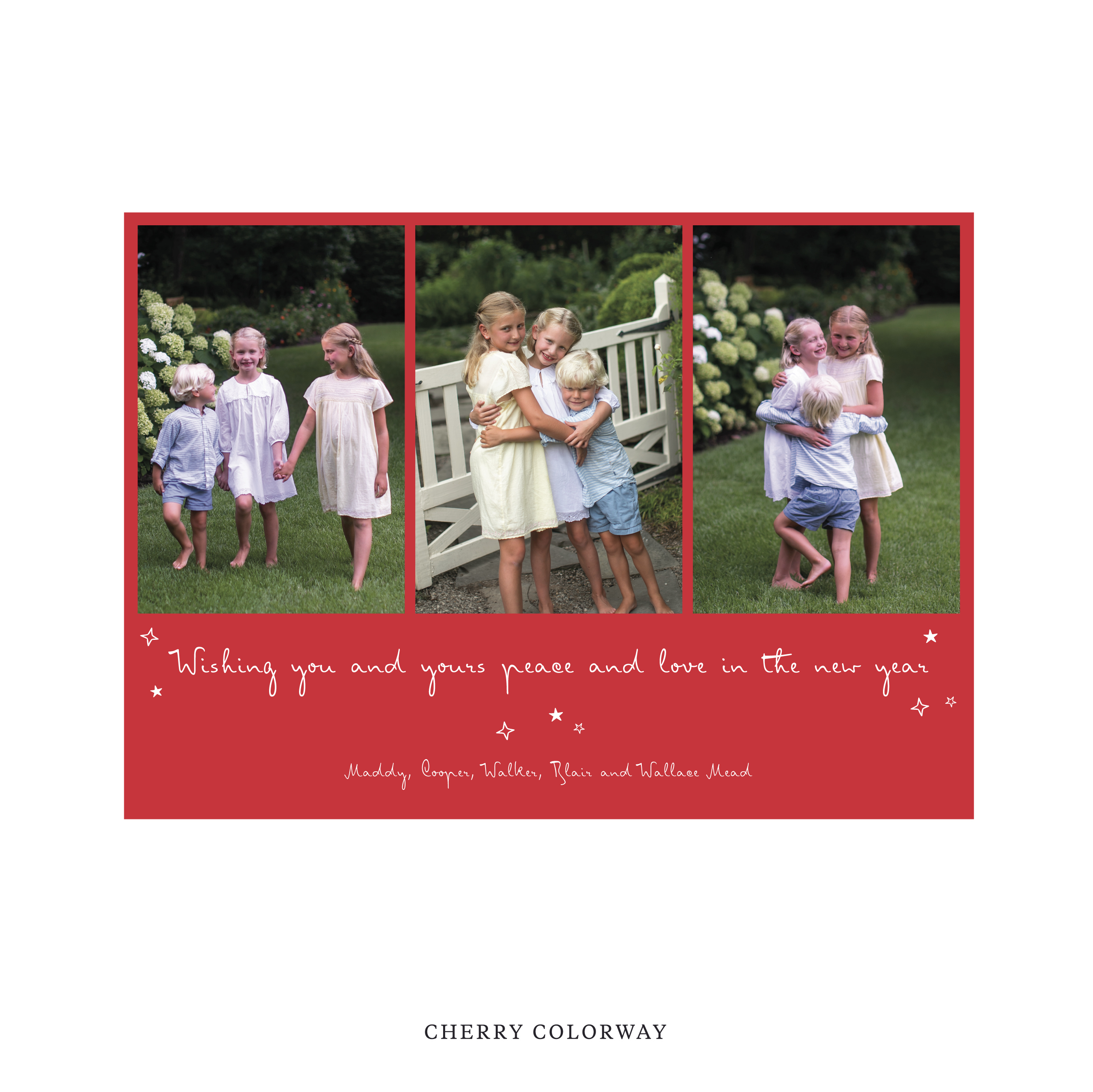 Celebrate the season with the Blythe "Wishing you and yours peace and love in the New Year" Holiday Card by Stovall Collection. Featuring original hand-lettered artwork, this luxury personalized photo mount holiday card is available in 22 thoughtfully curated flat printing colorways.