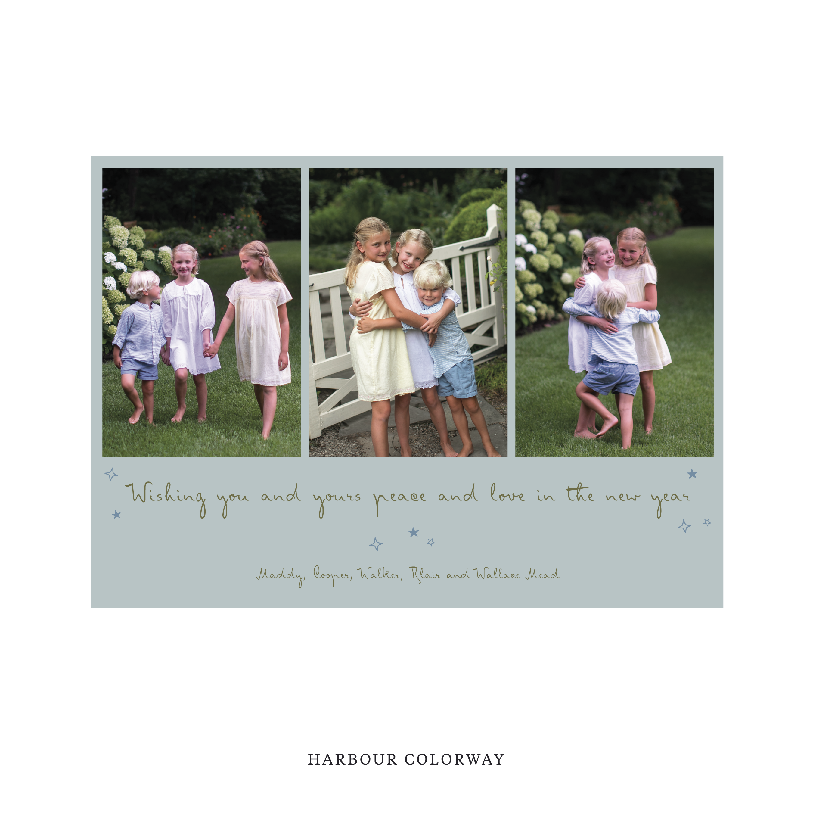 Celebrate the season with the Blythe "Wishing you and yours peace and love in the New Year" Holiday Card by Stovall Collection. Featuring original hand-lettered artwork, this luxury personalized photo mount holiday card is available in 22 thoughtfully curated flat printing colorways.