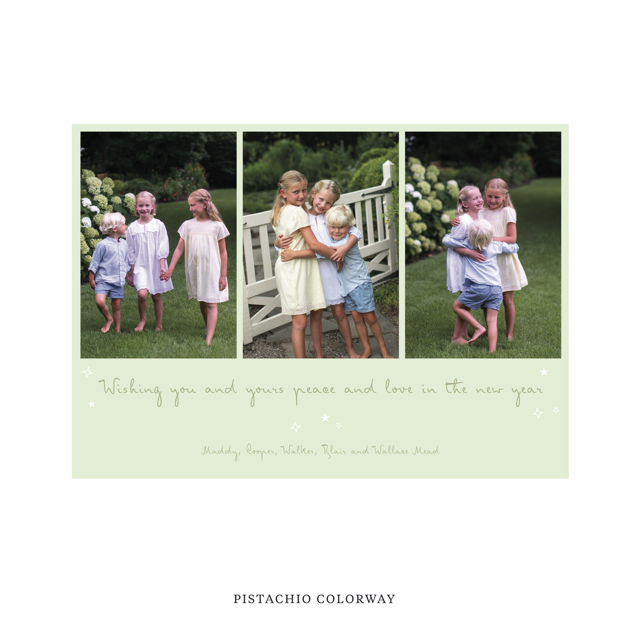 Celebrate the season with the Blythe "Wishing you and yours peace and love in the New Year" Holiday Card by Stovall Collection. Featuring original hand-lettered artwork, this luxury personalized photo mount holiday card is available in 22 thoughtfully curated flat printing colorways.