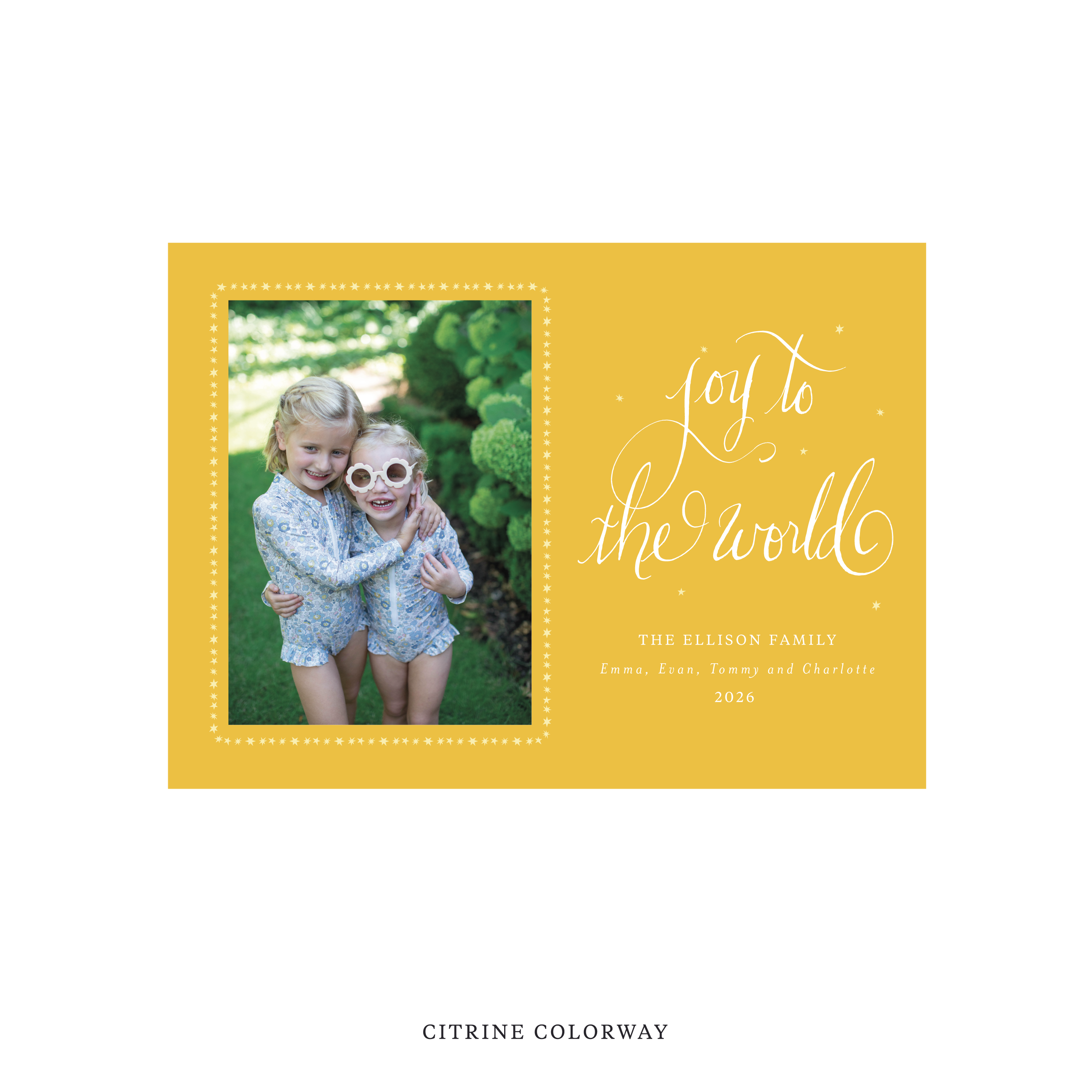 Ellison Classic Flat Print Holiday Card, Medium