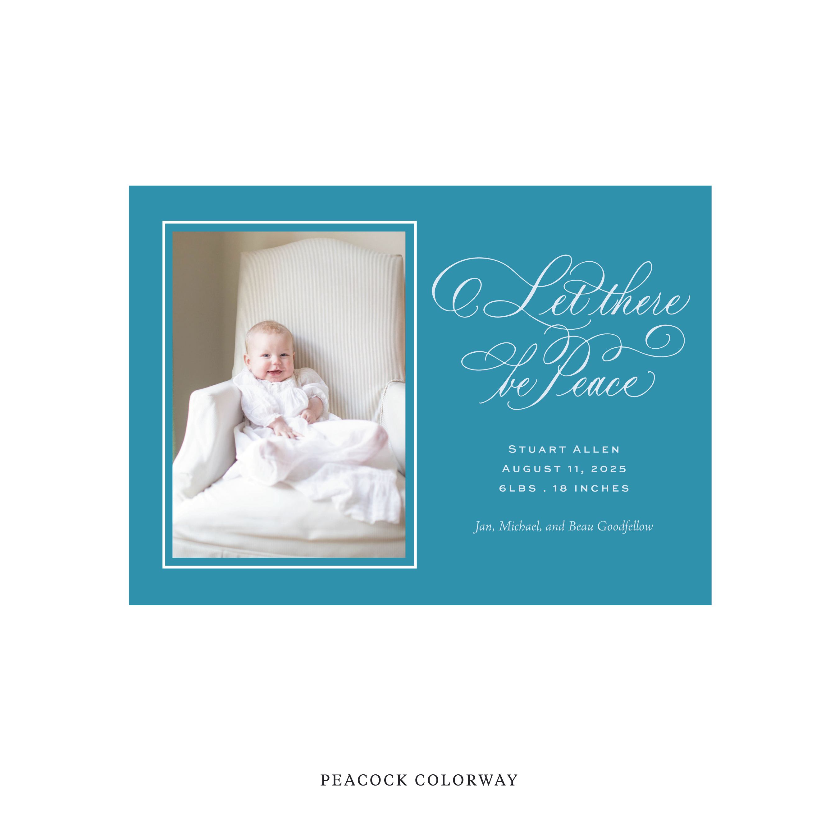 Goodfellow Classic Flat Print Holiday Card, Birth Announcement Medium