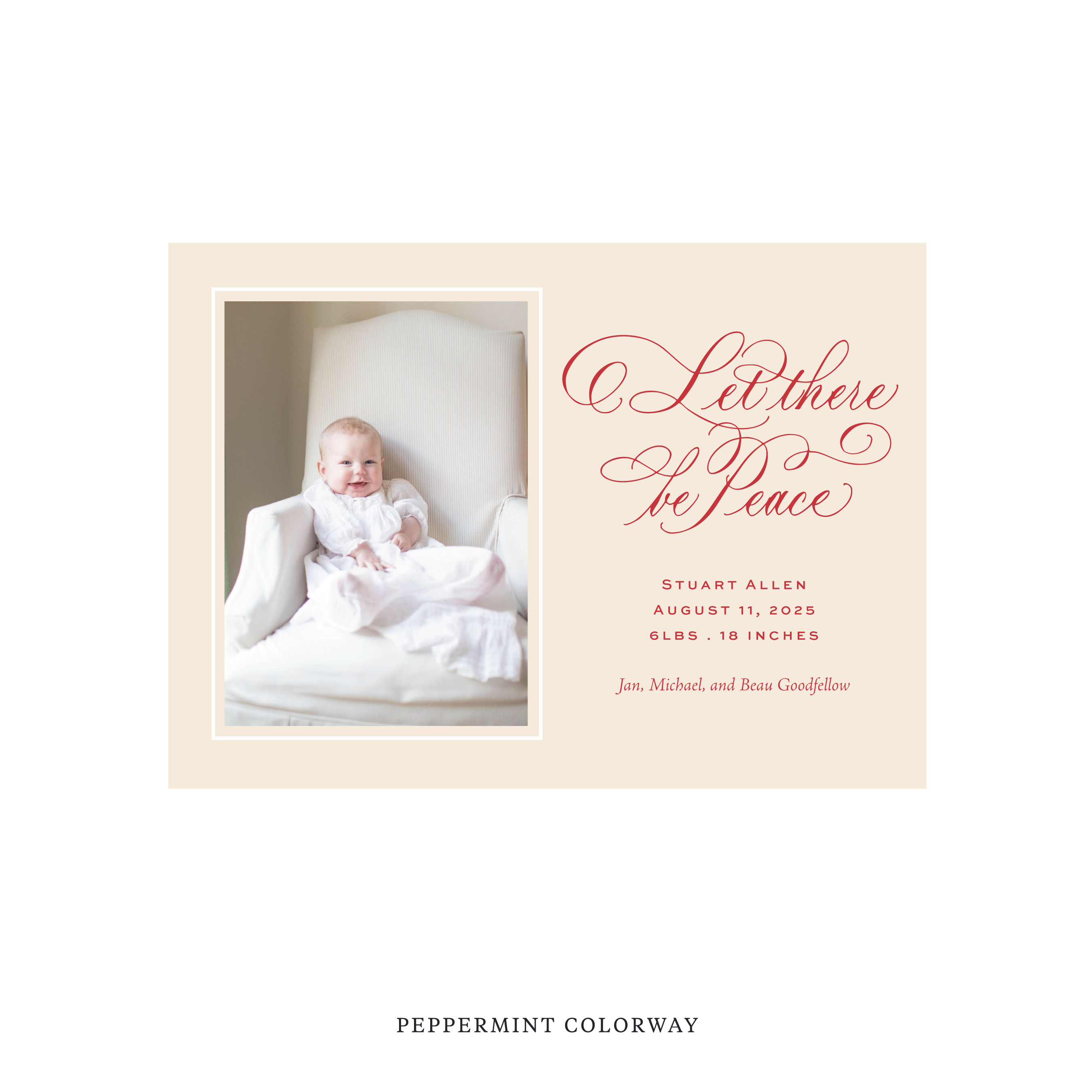 Goodfellow Classic Flat Print Holiday Card, Birth Announcement Medium