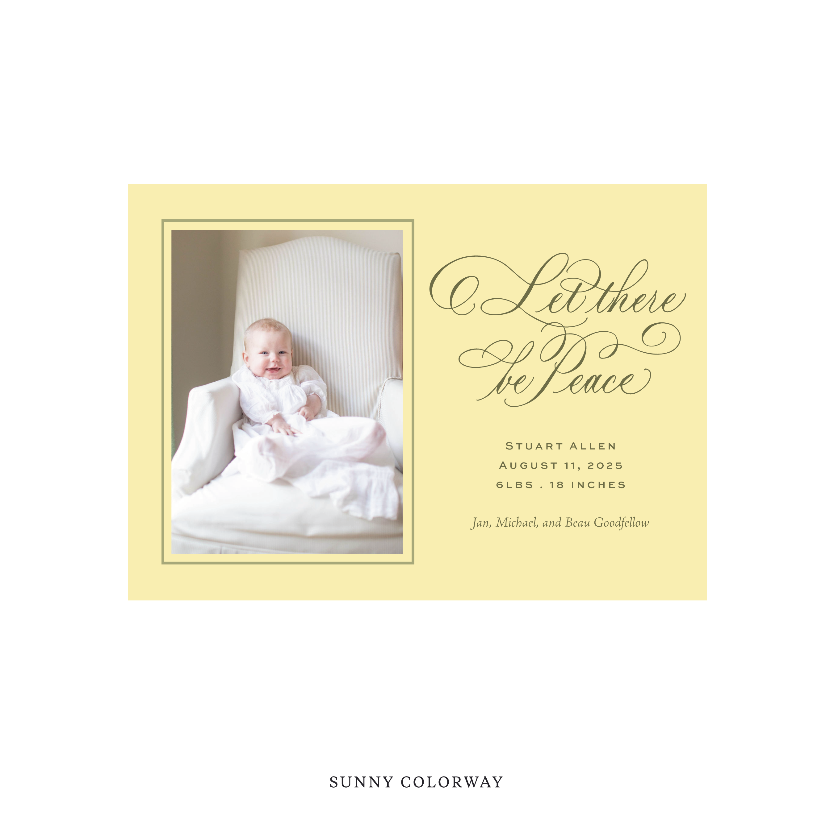 Goodfellow Classic Flat Print Holiday Card, Birth Announcement Medium