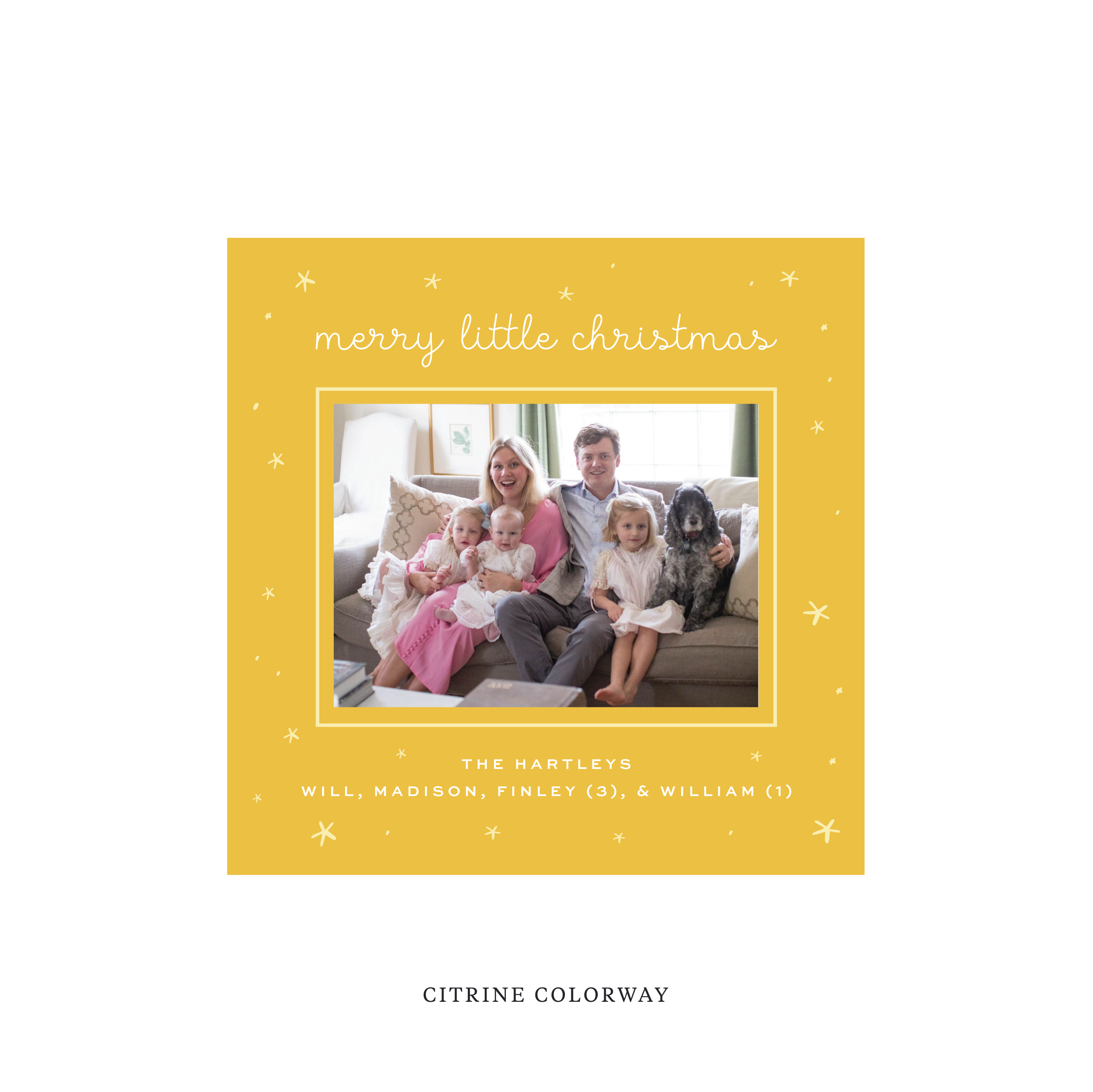 Hartley Classic Flat Print Holiday Card, Square