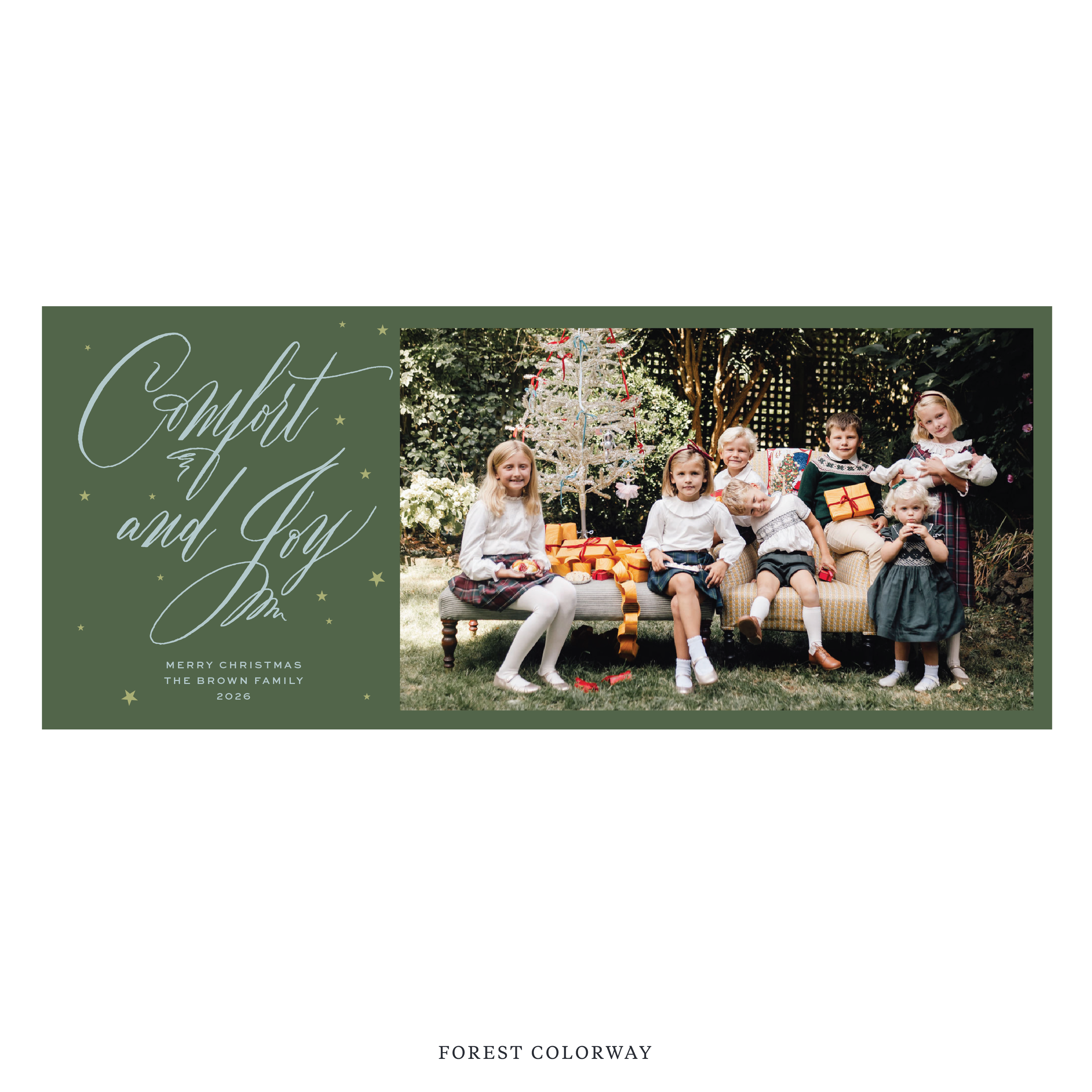 Hawthorne Digital Photo Holiday Card, Skinny