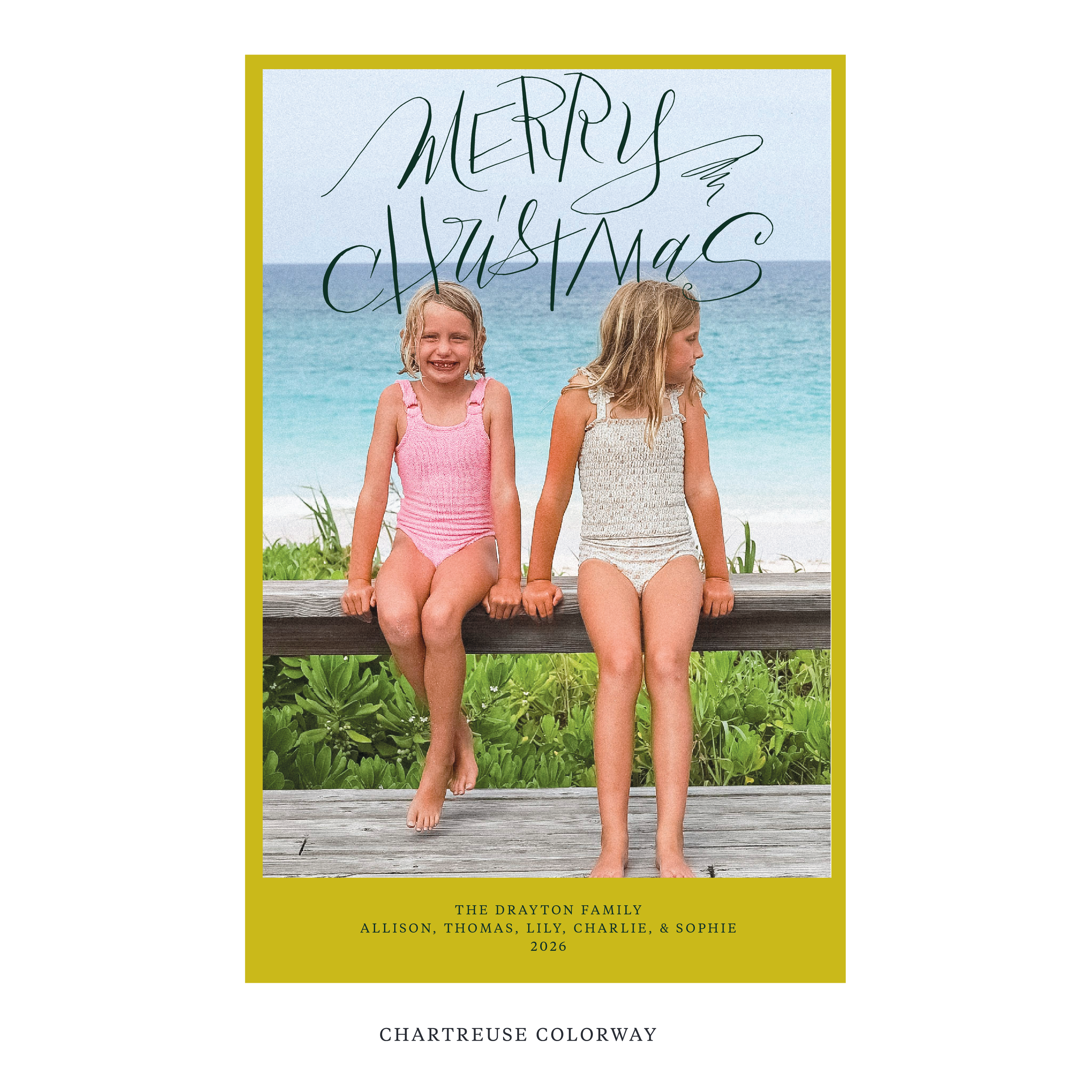 Larkin Digital Photo Holiday Card, Extra Large