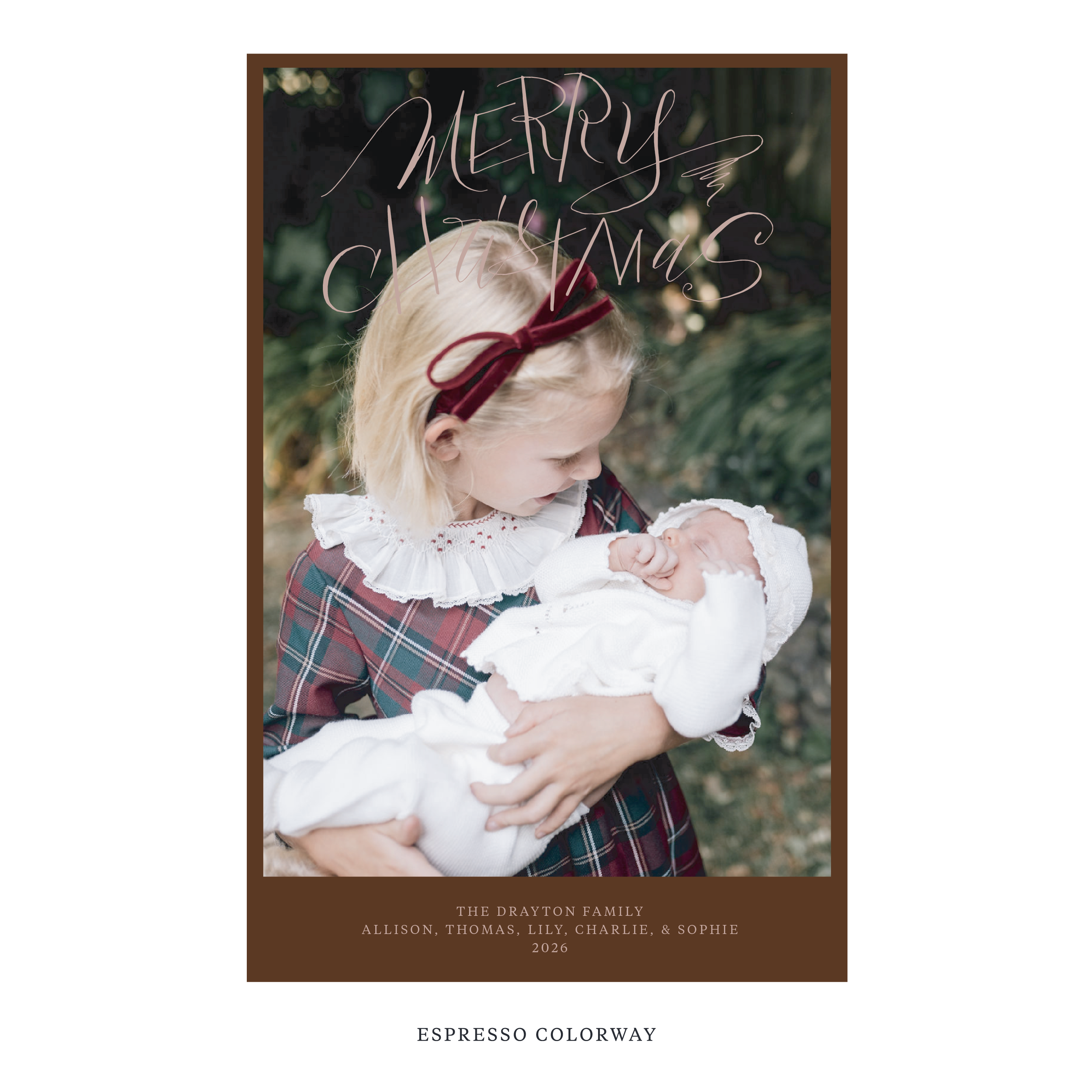 Larkin Digital Photo Holiday Card, Extra Large