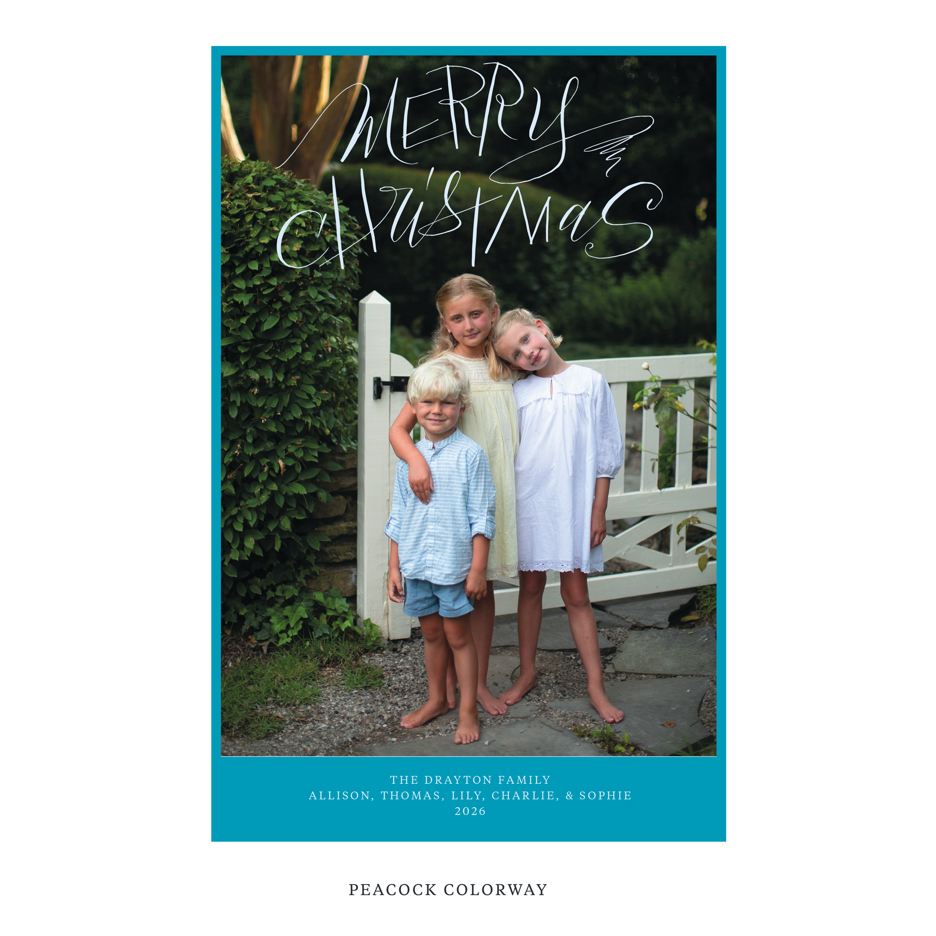 Larkin Digital Photo Holiday Card, Extra Large