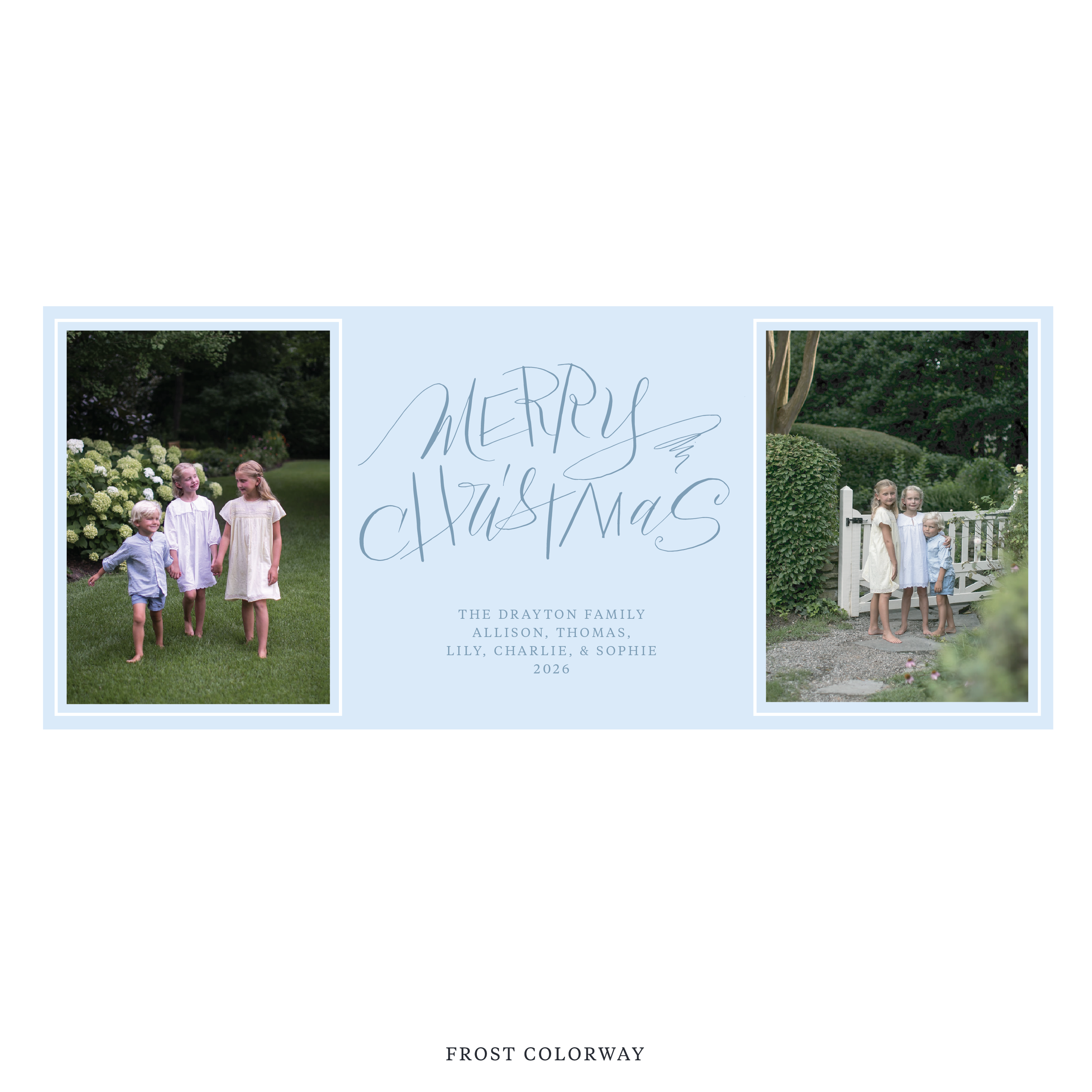 Larkin Digital Photo Holiday Card, Skinny