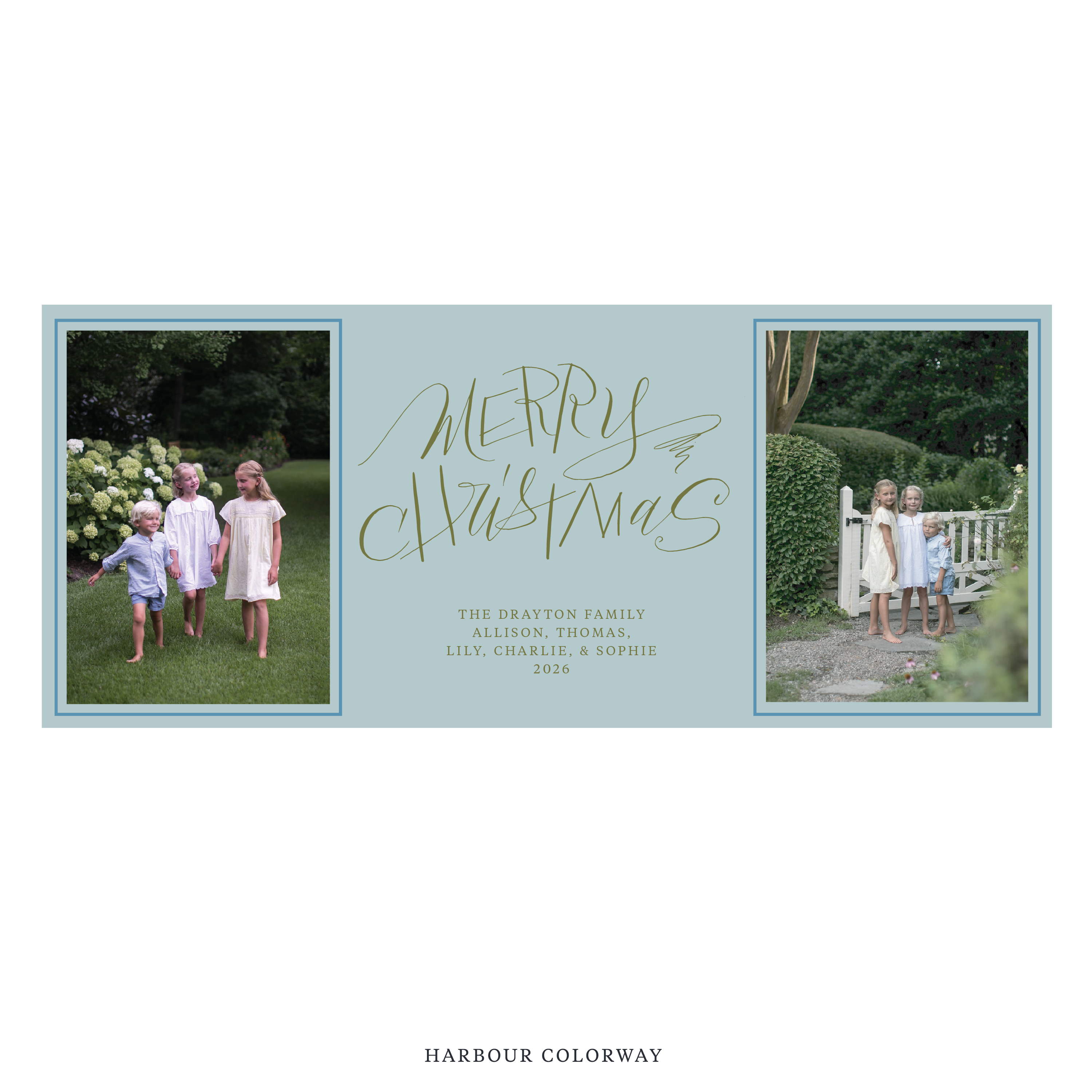 Larkin Digital Photo Holiday Card, Skinny