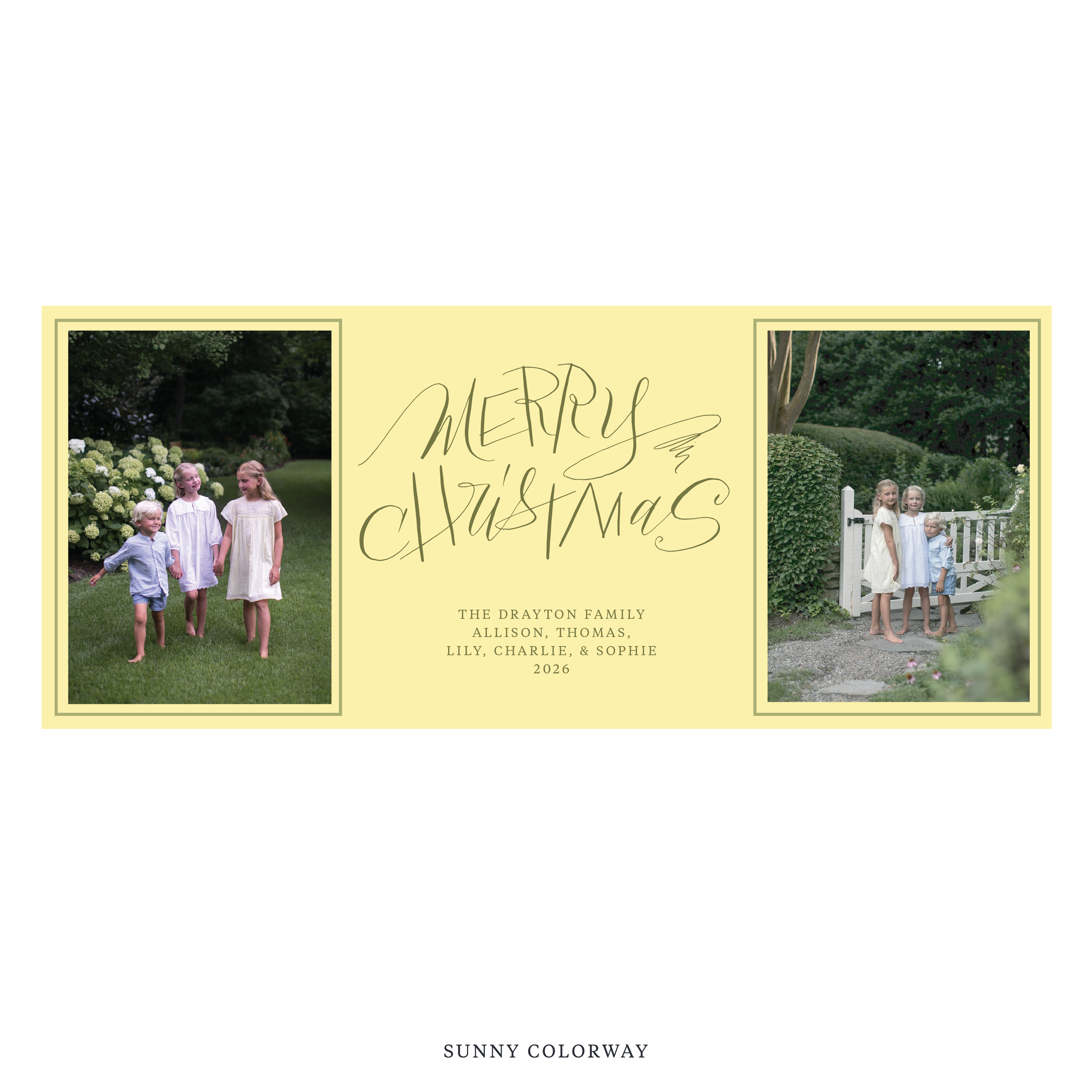 Larkin Digital Photo Holiday Card, Skinny