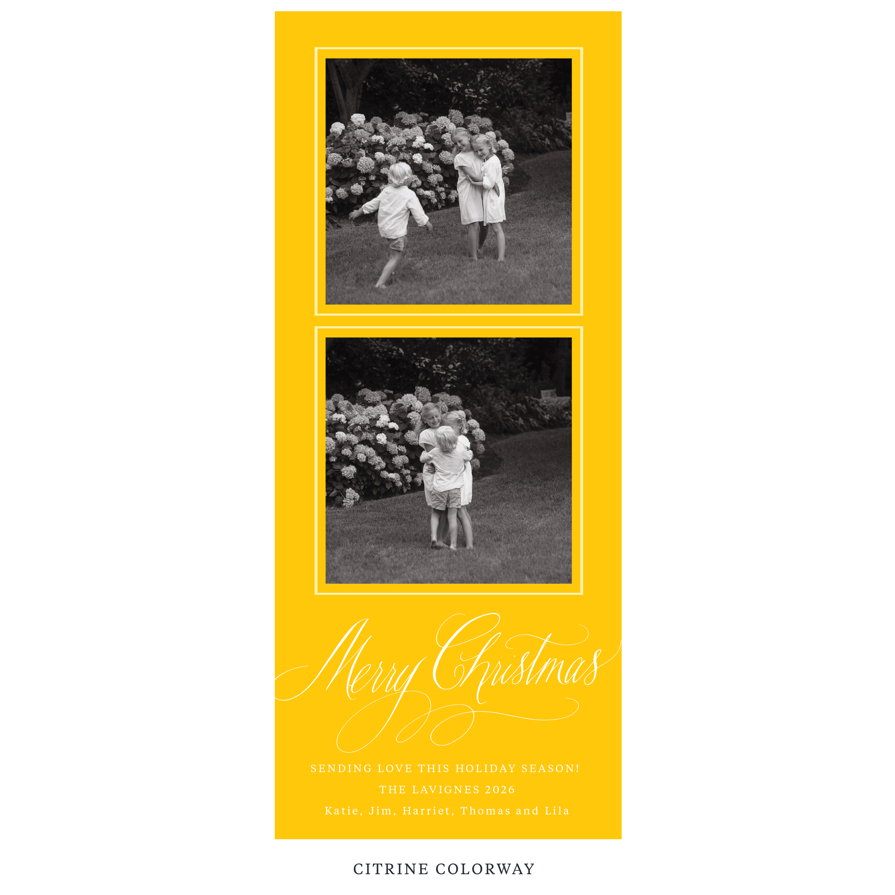 Lavigne Digital Photo Holiday Card, Skinny