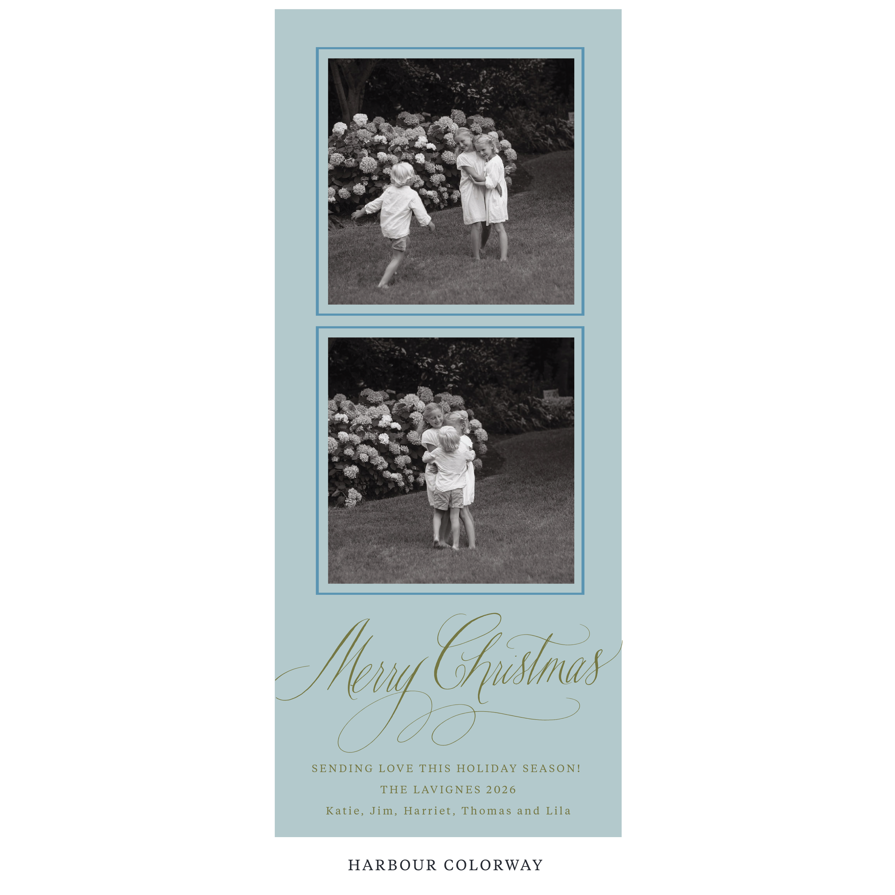 Lavigne Digital Photo Holiday Card, Skinny