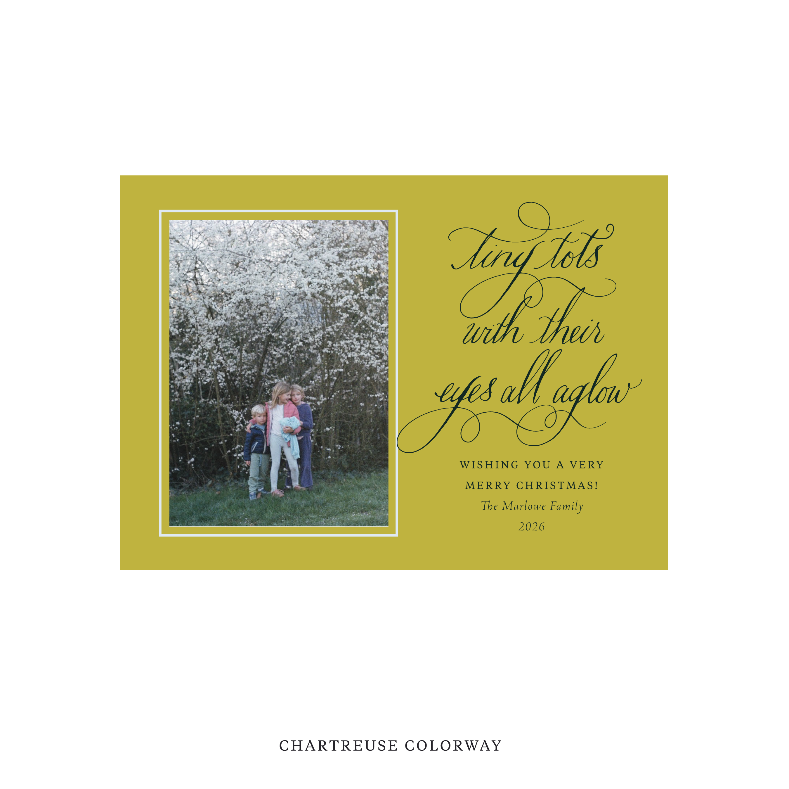 Bexley Classic Flat Print Holiday Card, Medium