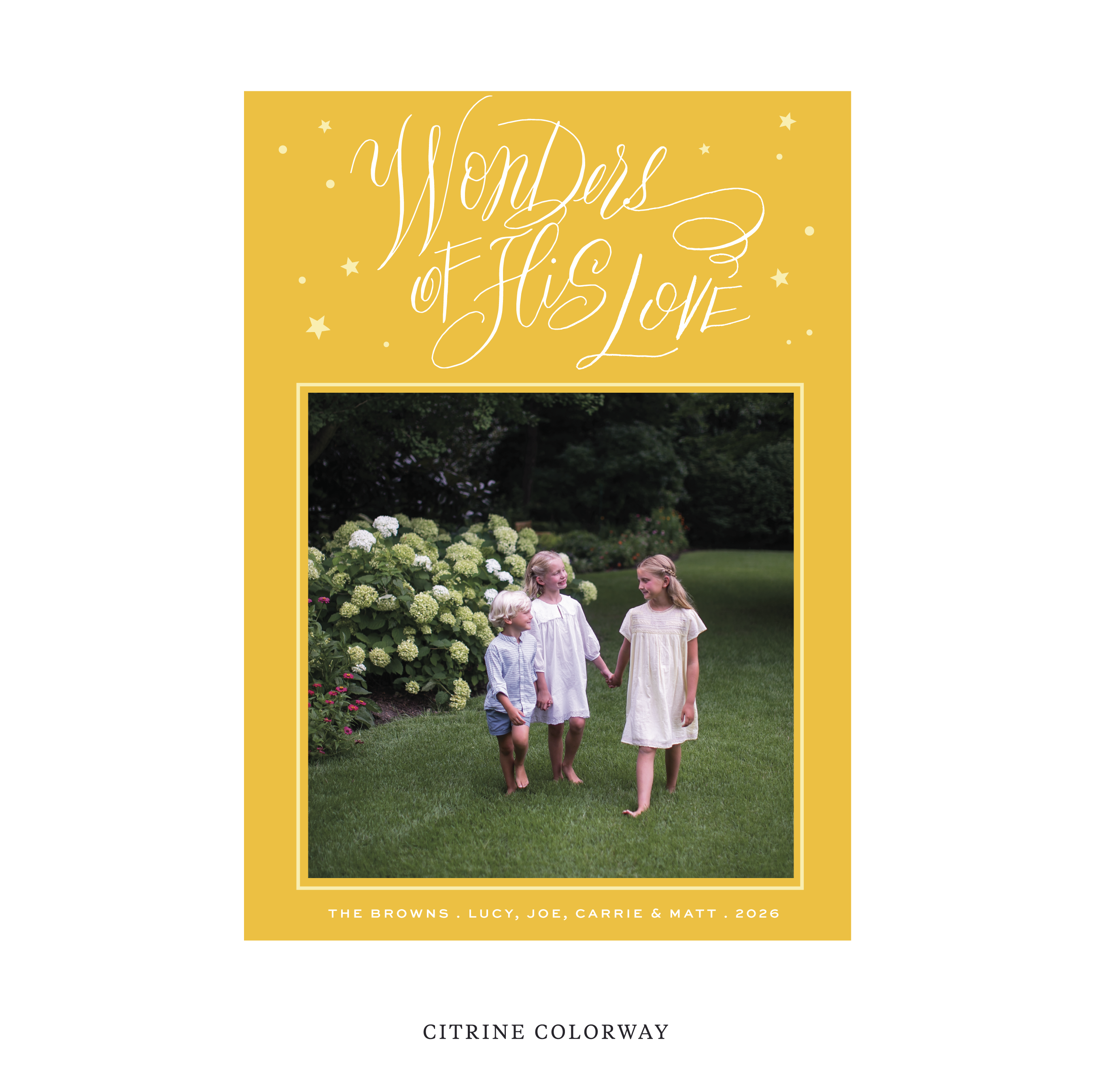 Merriweather Classic Flat Print Holiday Card, Large