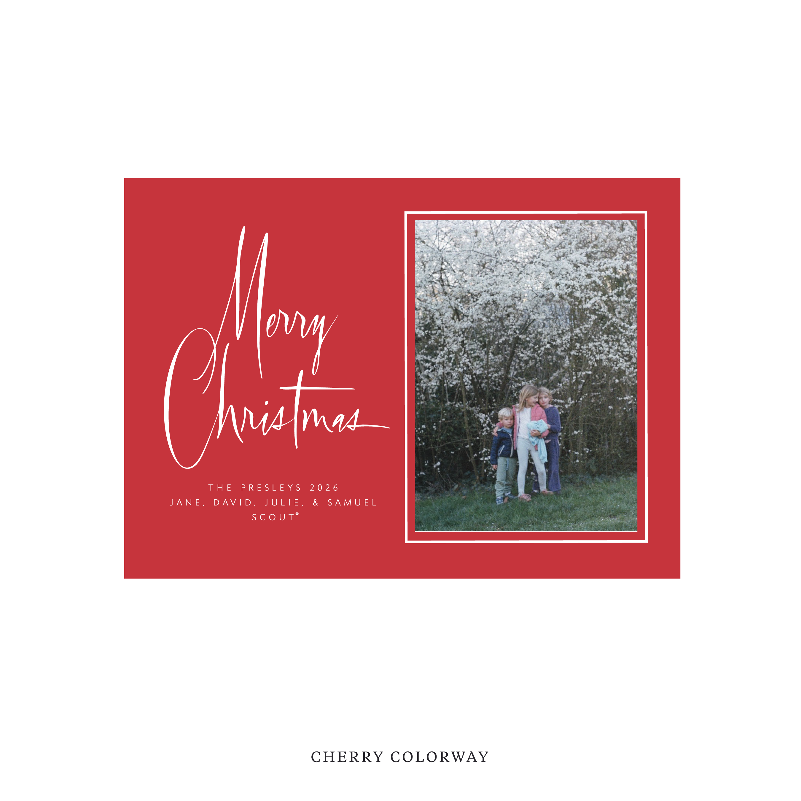 Presley Classic Flat Print Holiday Card, Medium