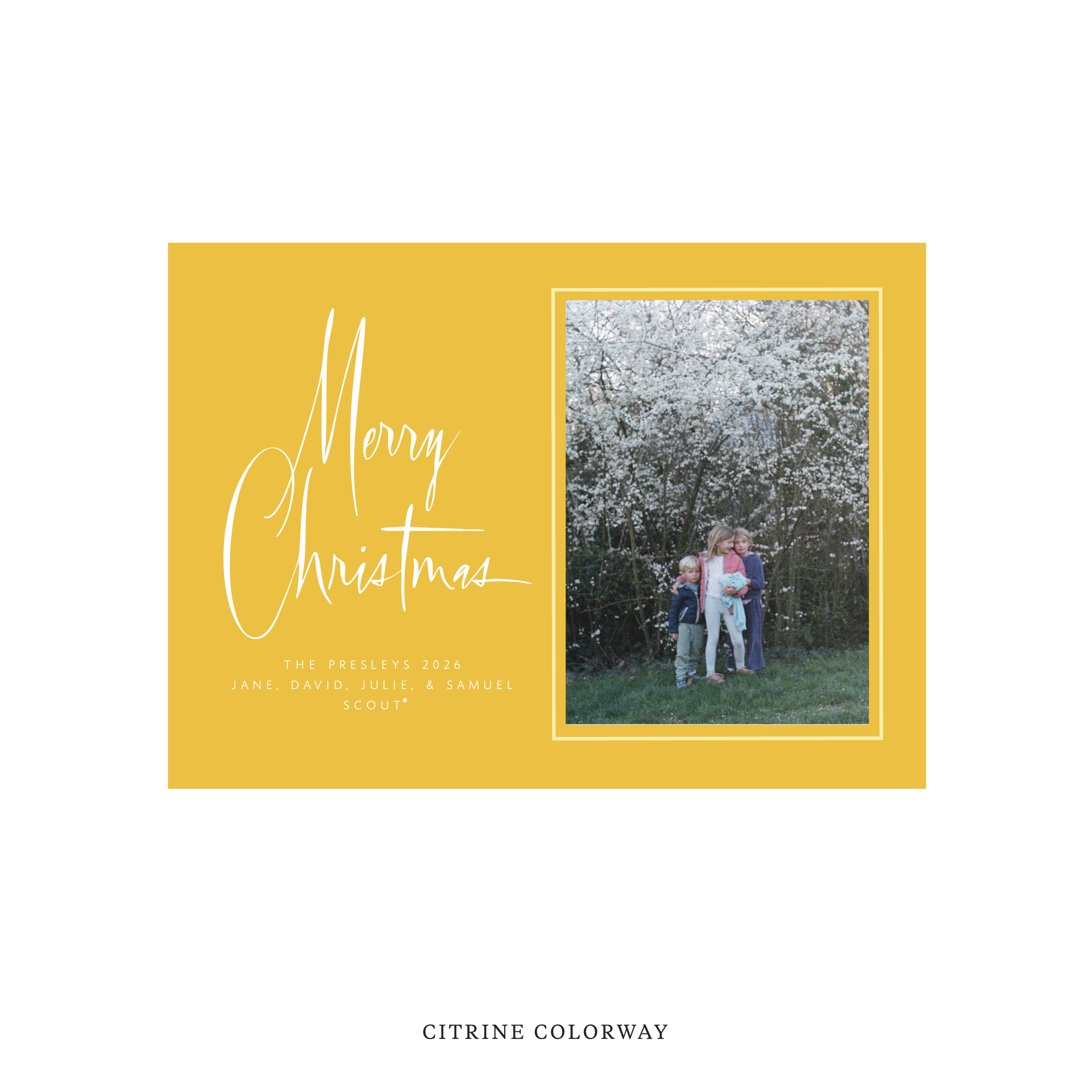 Presley Classic Flat Print Holiday Card, Medium