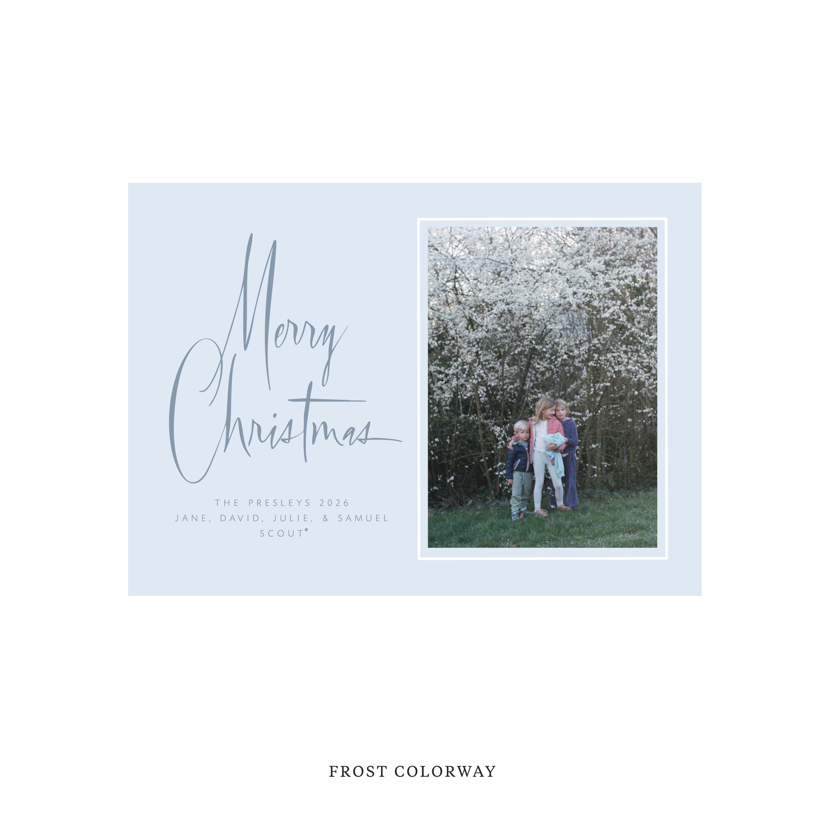 Presley Classic Flat Print Holiday Card, Medium