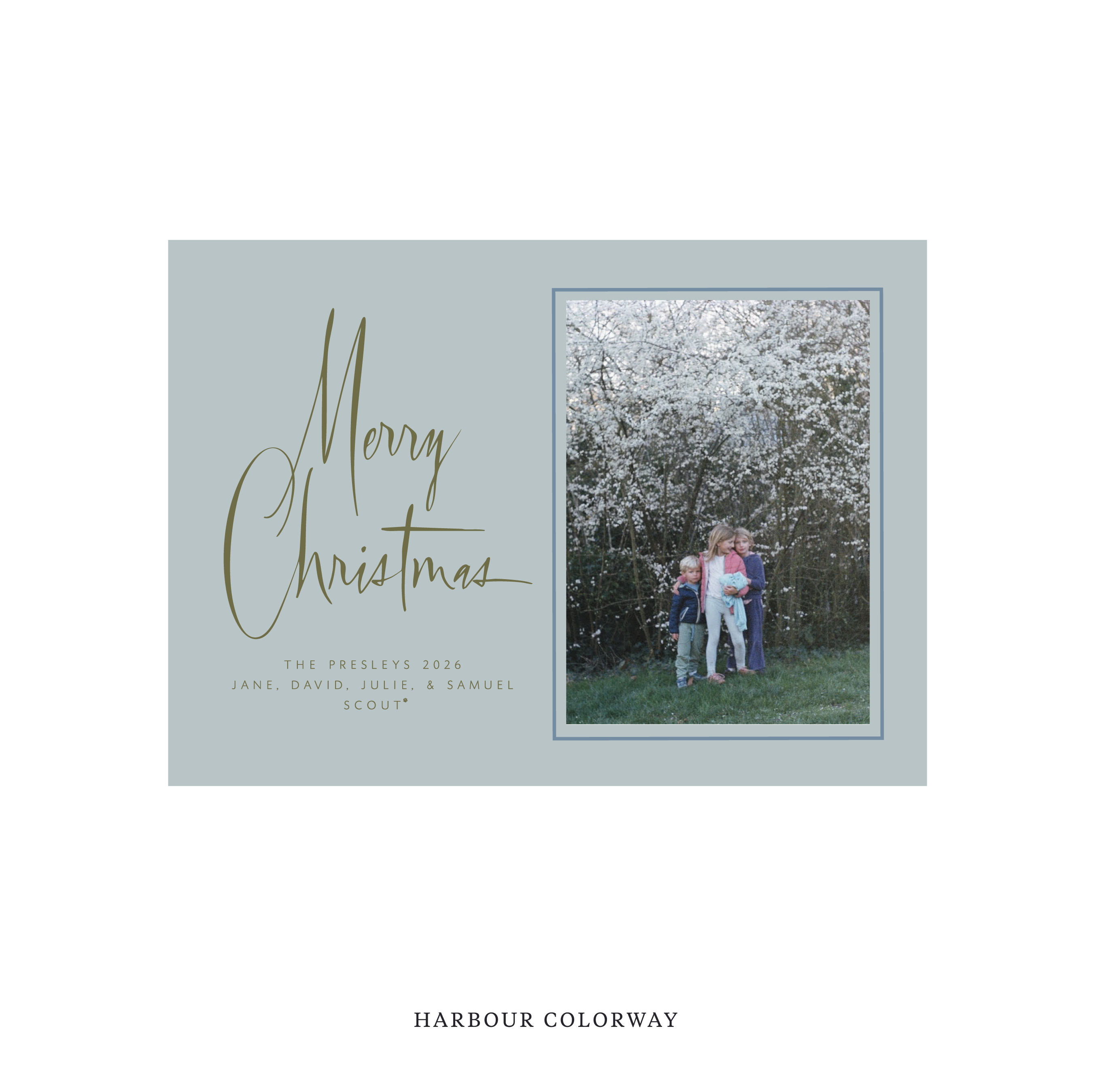 Presley Classic Flat Print Holiday Card, Medium