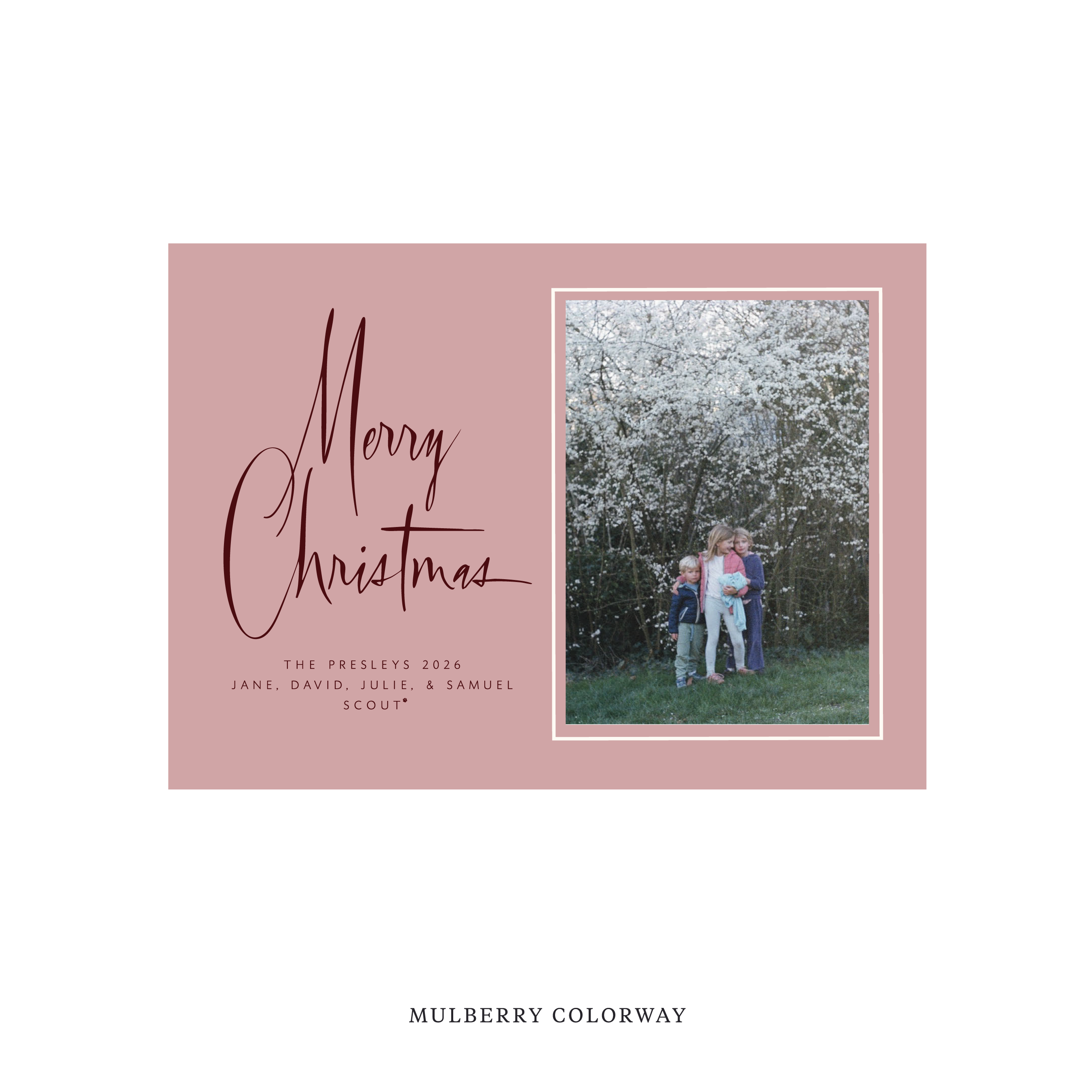 Presley Classic Flat Print Holiday Card, Medium