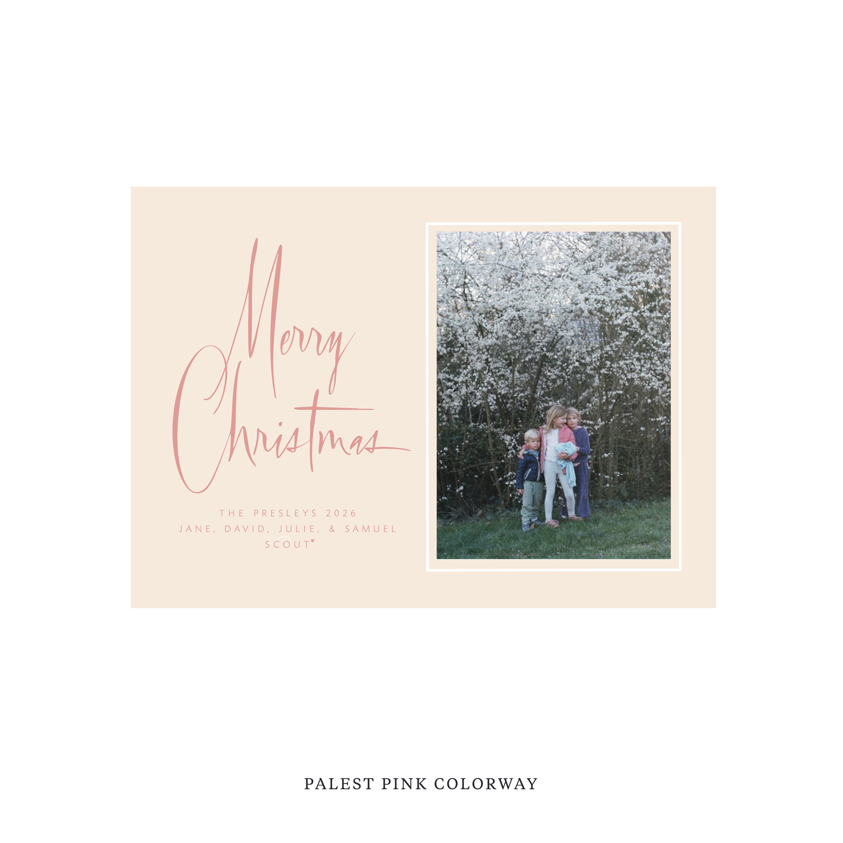 Presley Classic Flat Print Holiday Card, Medium