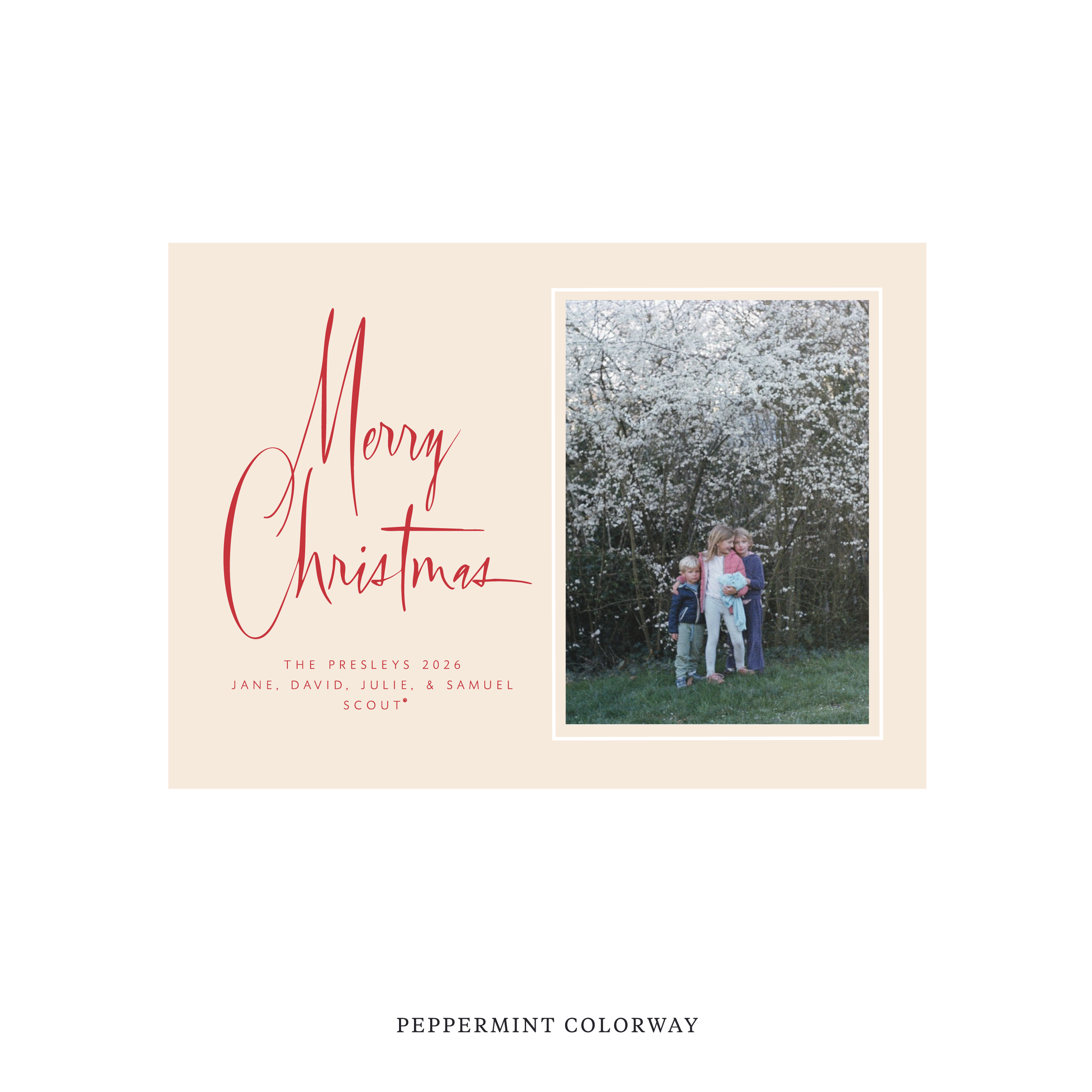Presley Classic Flat Print Holiday Card, Medium