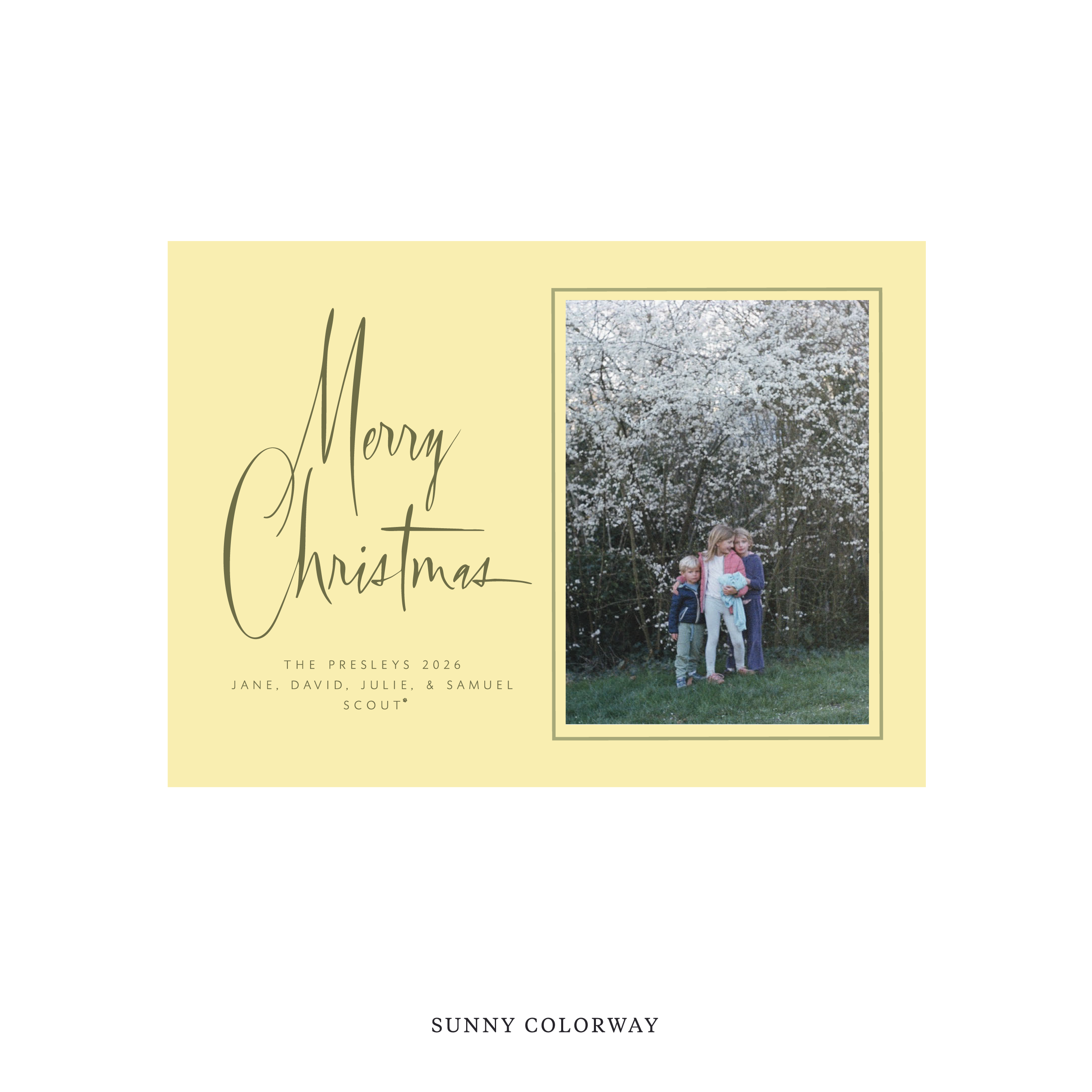 Presley Classic Flat Print Holiday Card, Medium