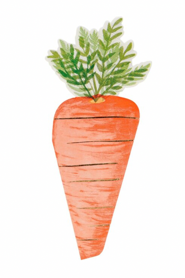 Carrot Napkin