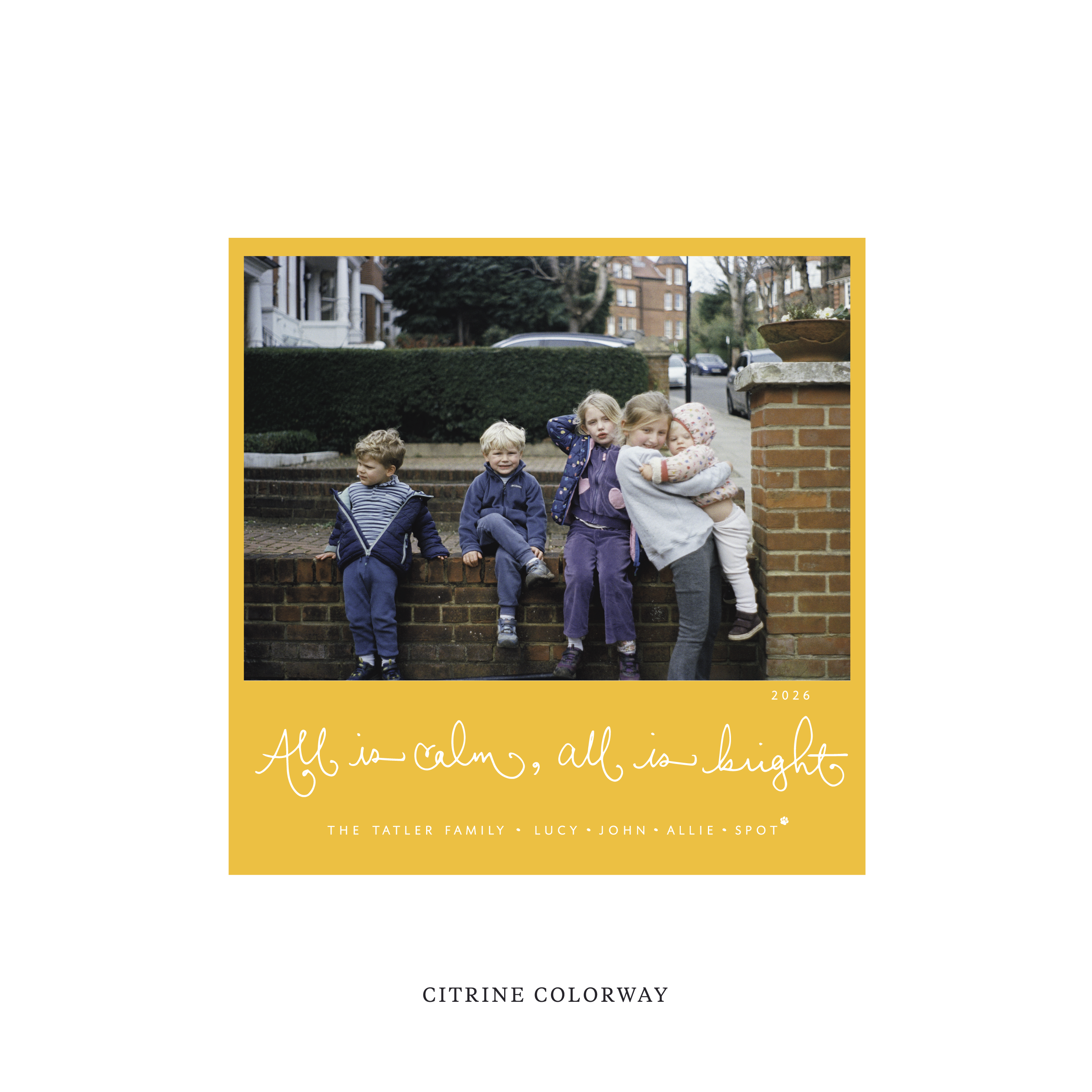 Tatler Classic Flat Print Holiday Card, Square